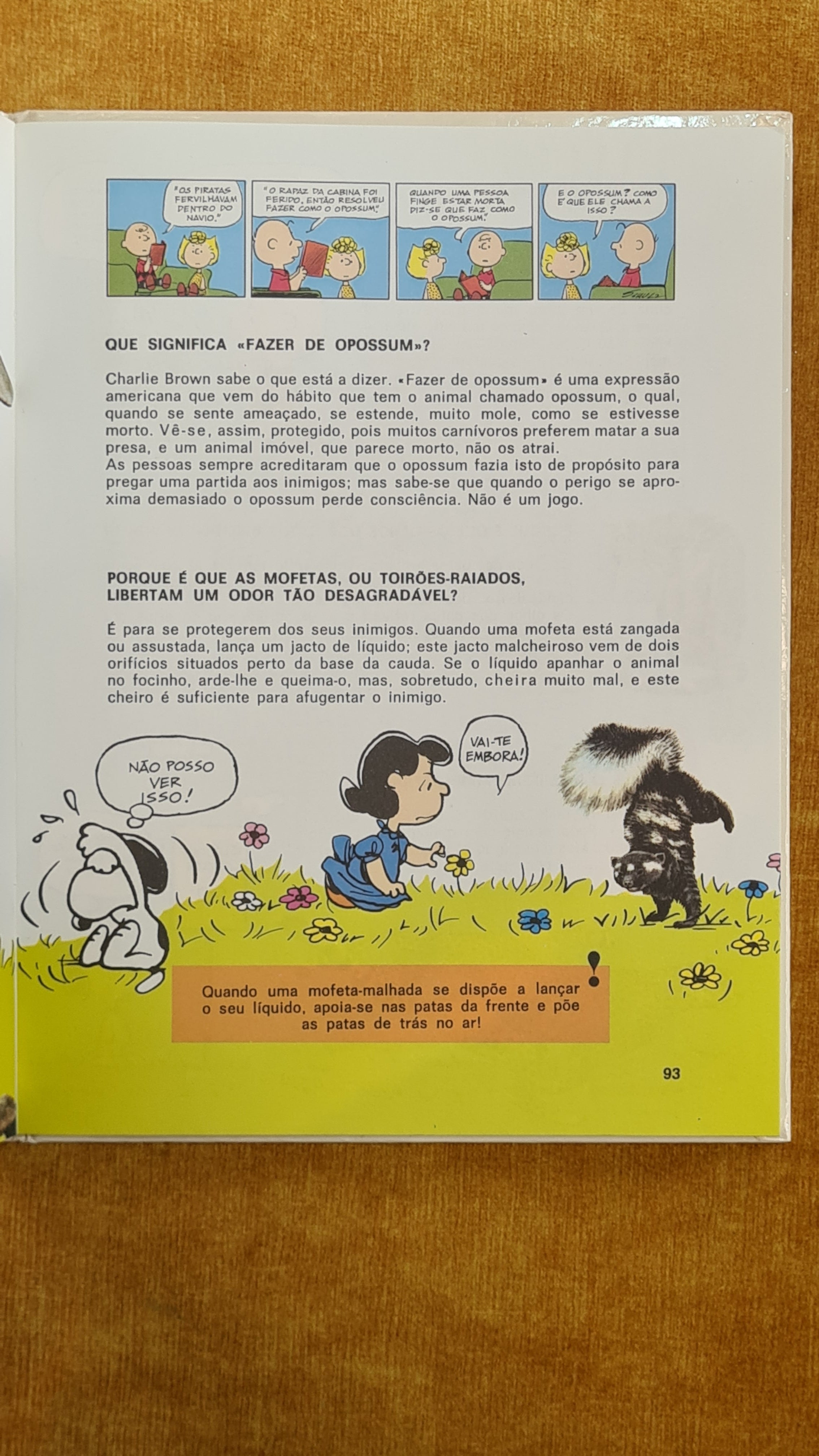 The Great Charlie Brown Book of Questions and Answers 1