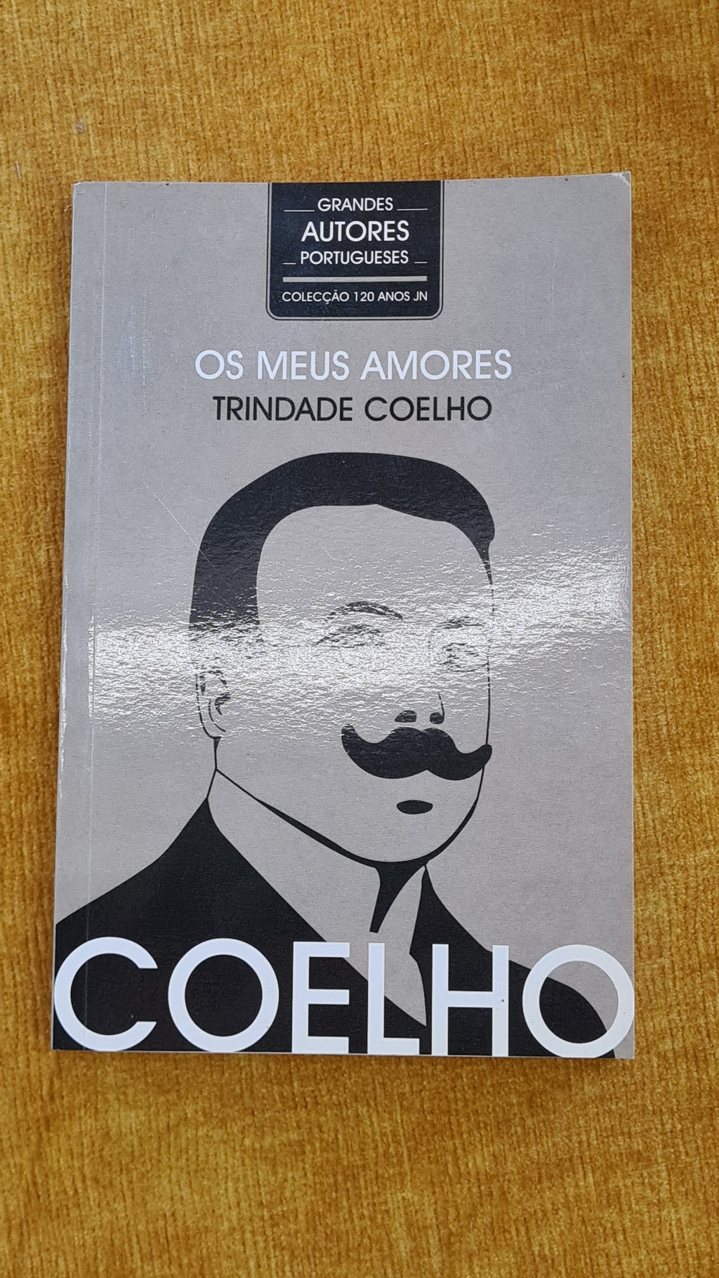 Os meus amores - Grandes autores portugueses 16