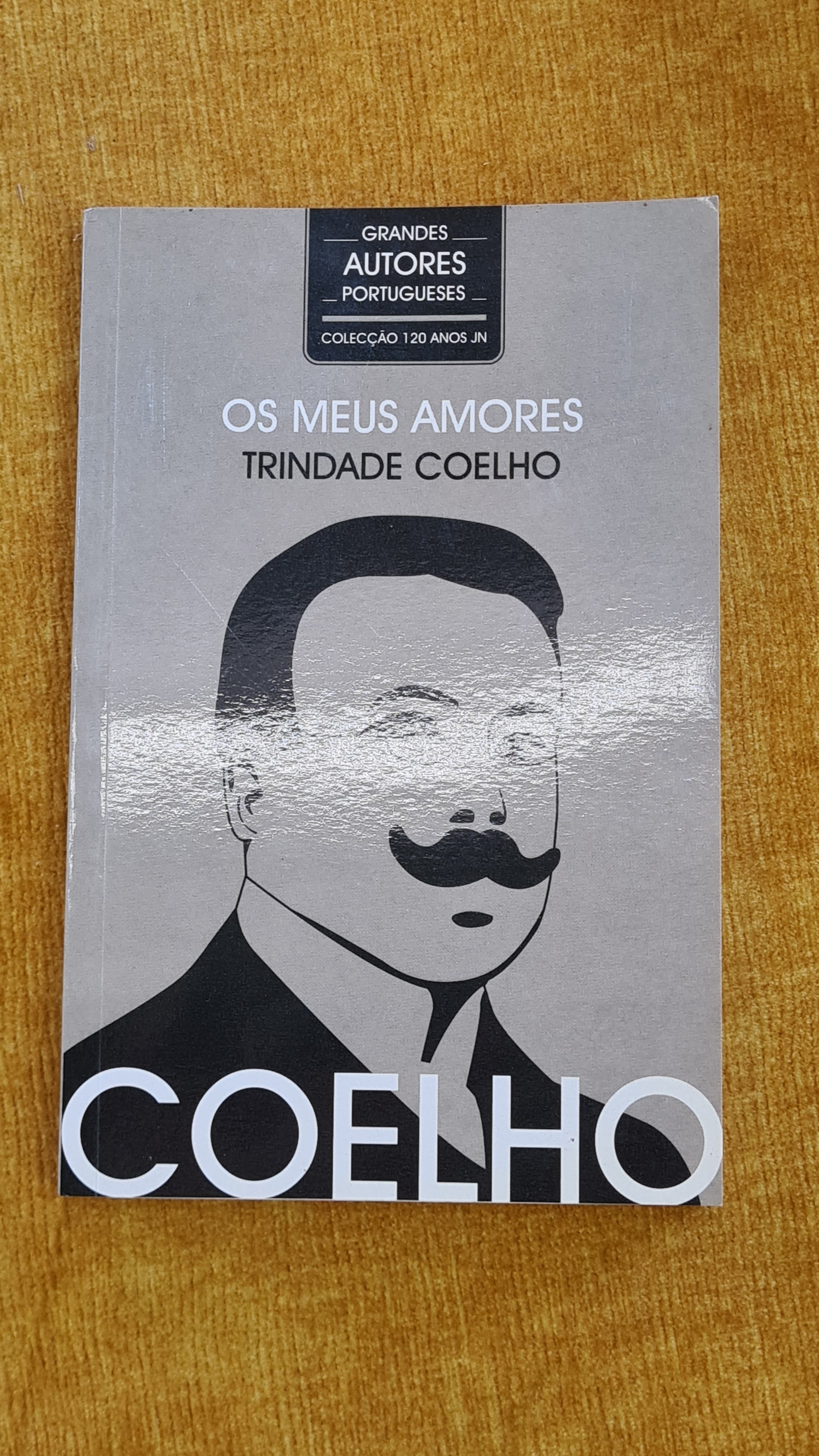 Os meus amores - Grandes autores portugueses 16