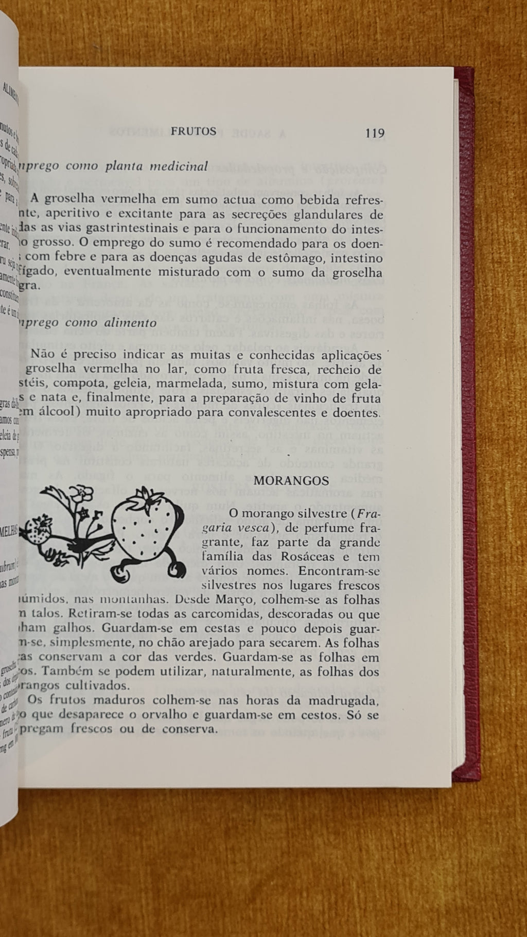 A saúde pelos alimentos