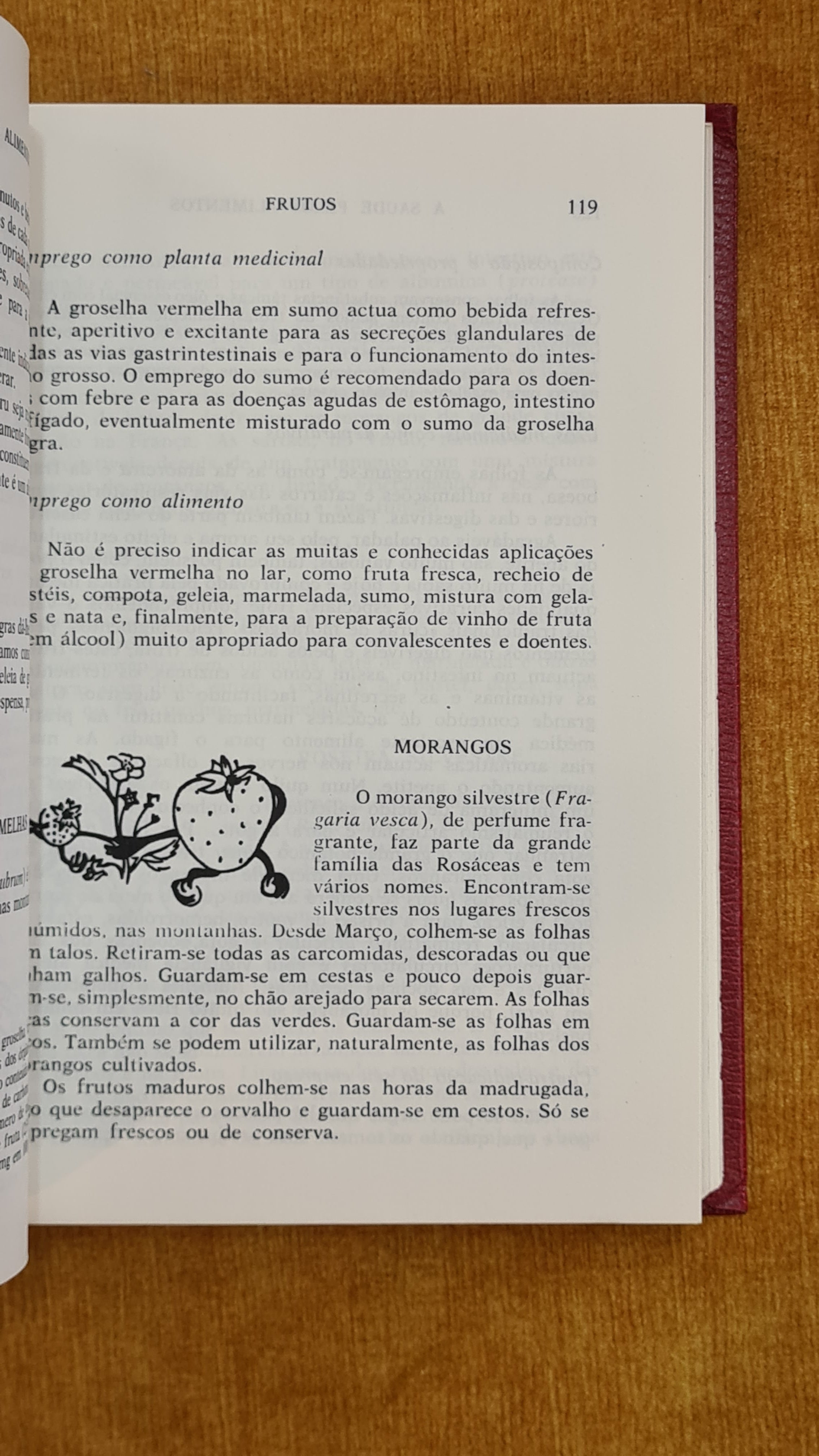 A saúde pelos alimentos