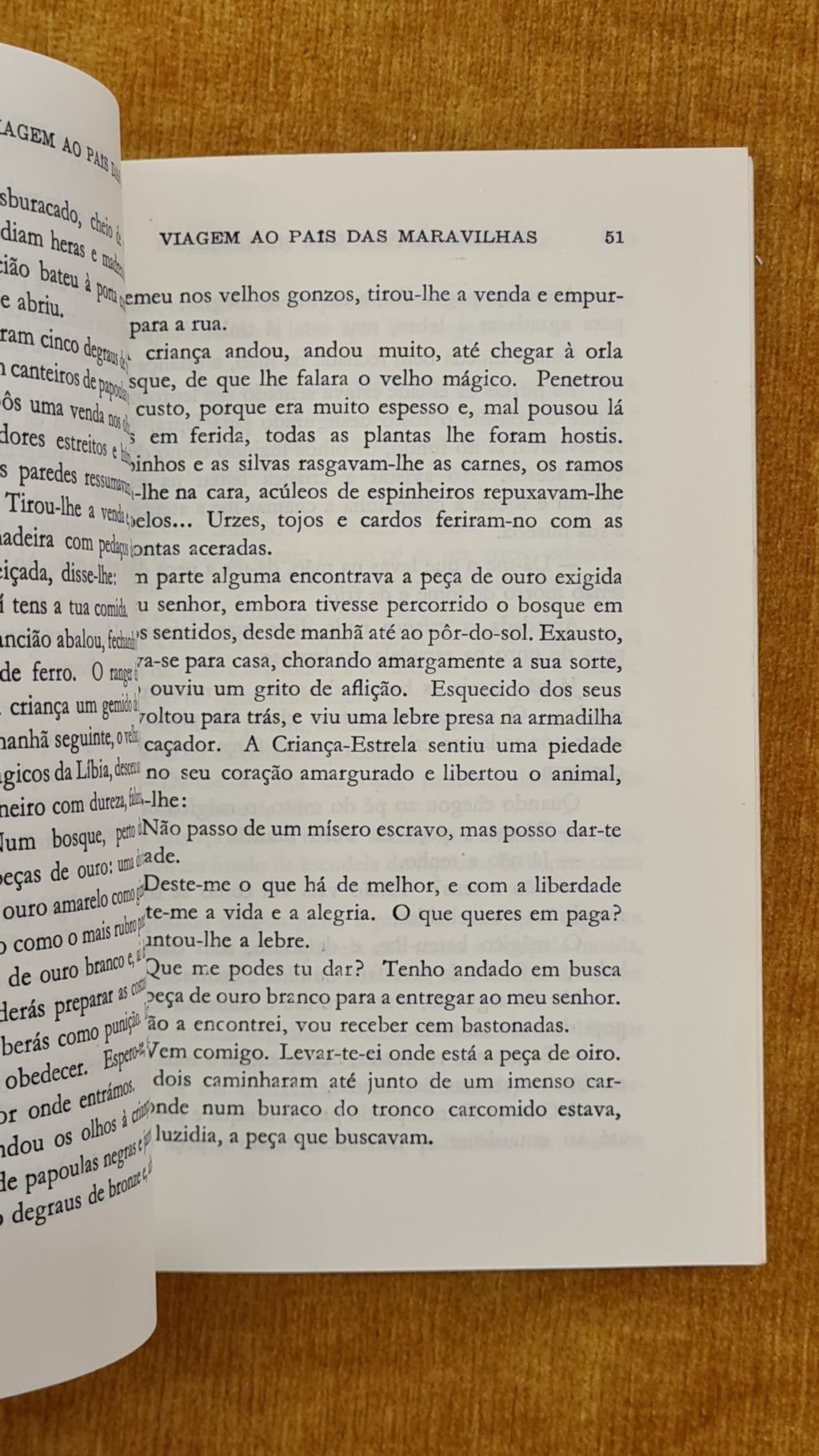 Viagem ao país das maravilhas - Colecção Azul 17