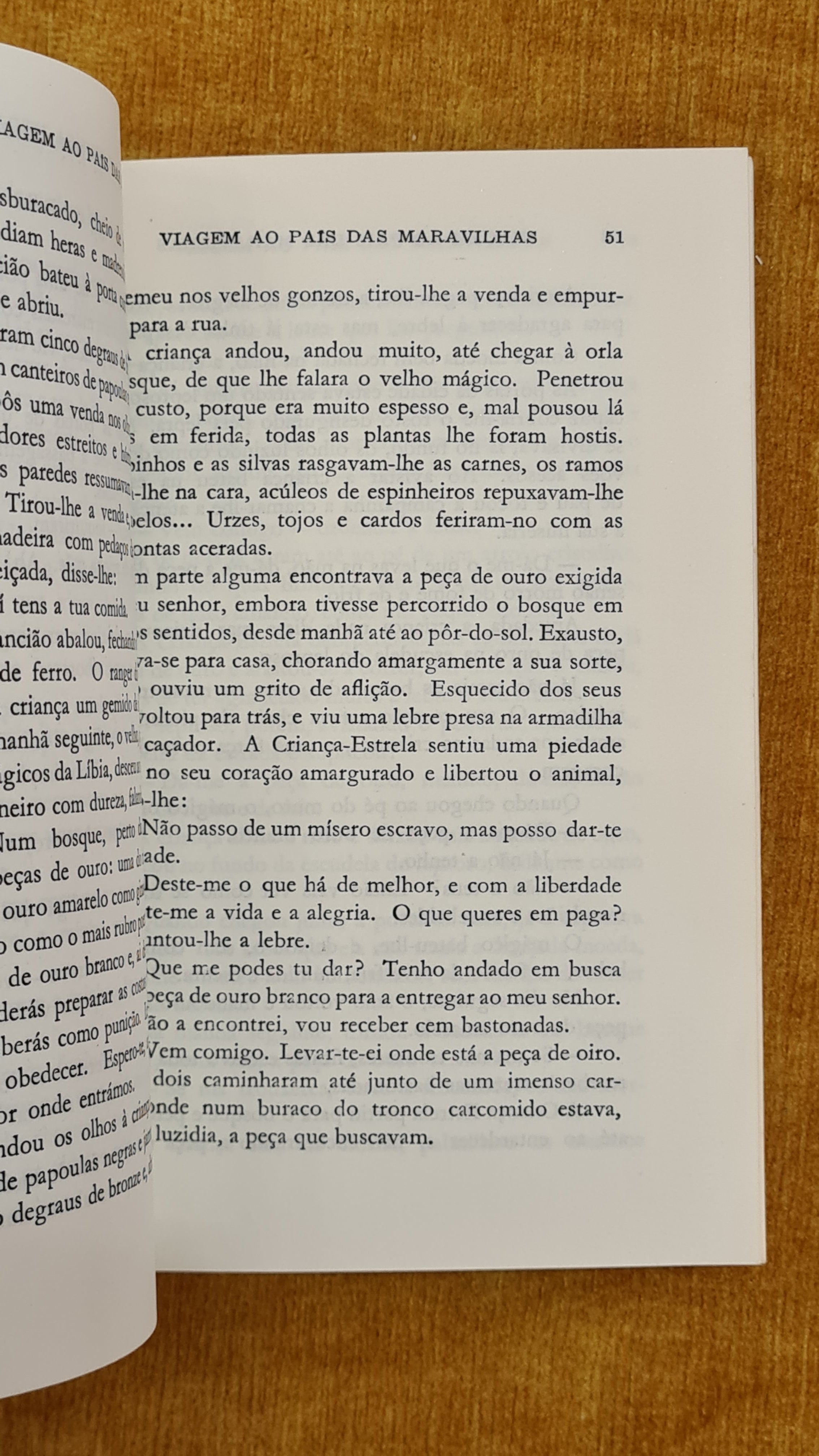 Viagem ao país das maravilhas - Colecção Azul 17