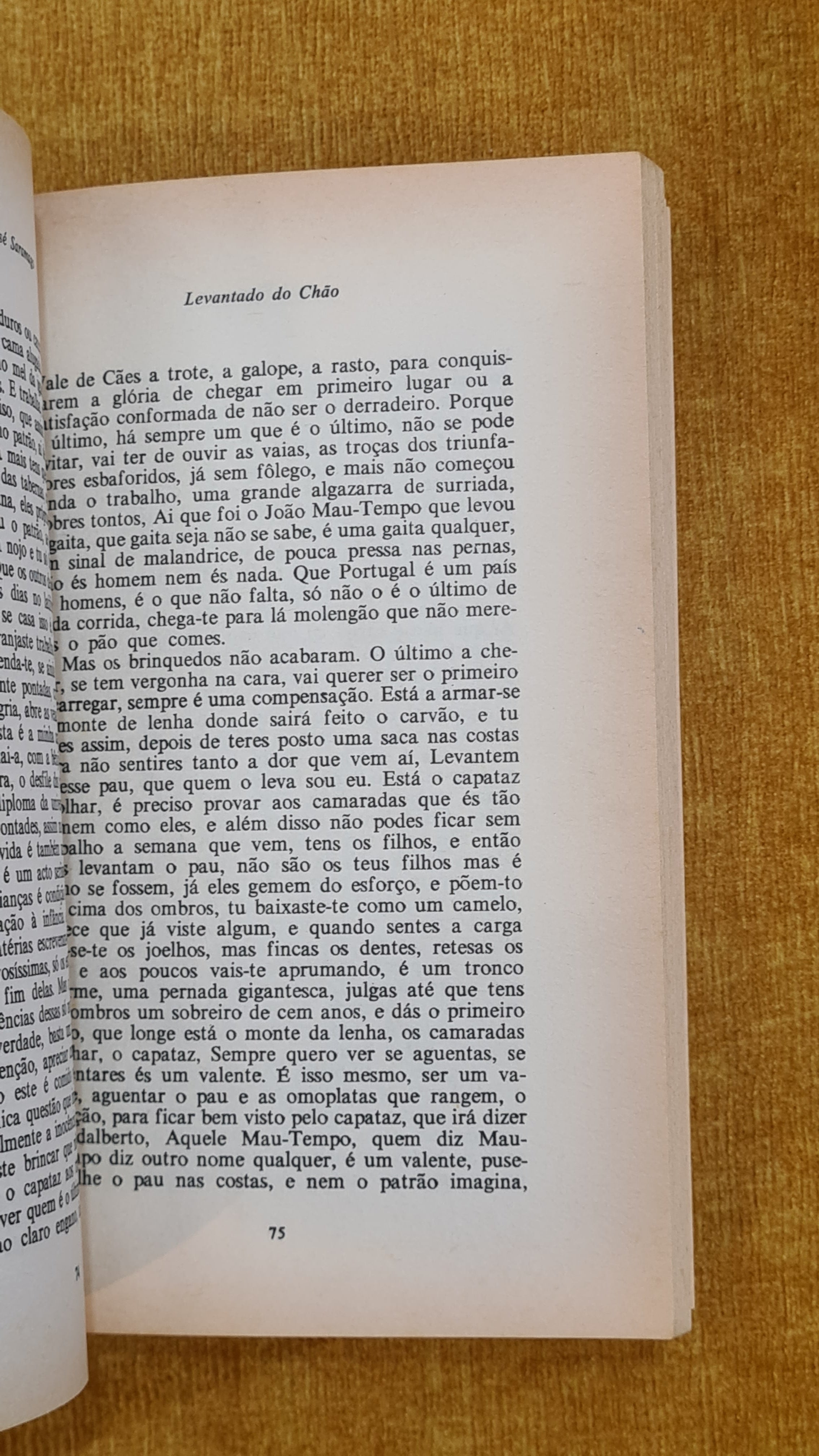 Levantado do Chão