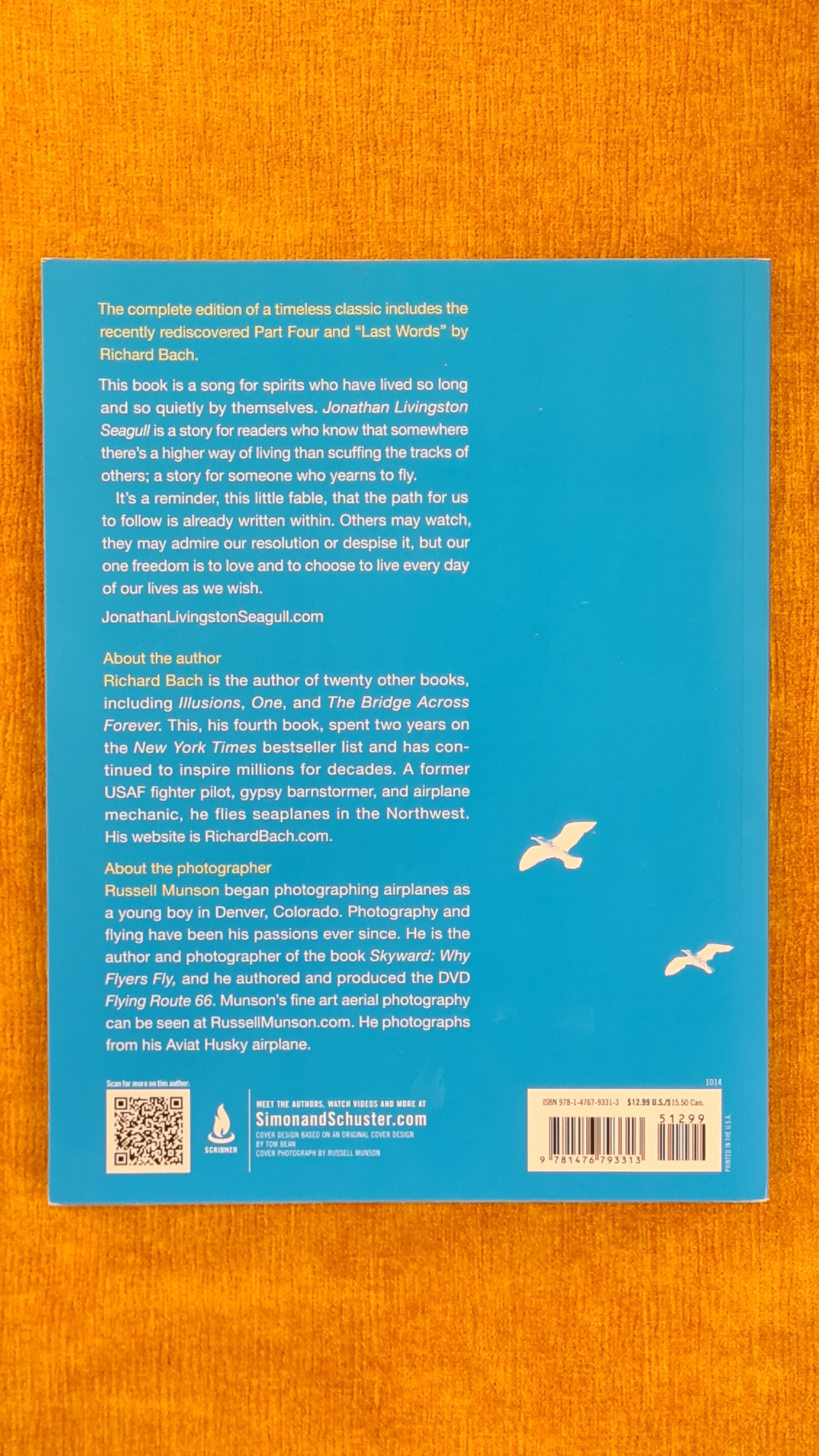 Jonathan Livingston seagull