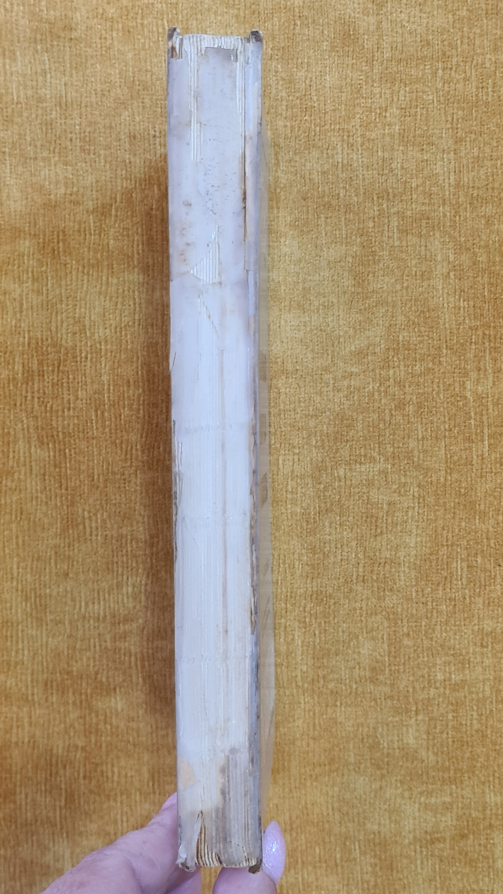 Compendium of Portuguese Grammar (1st, 2nd, and 3rd years of Lyceum)