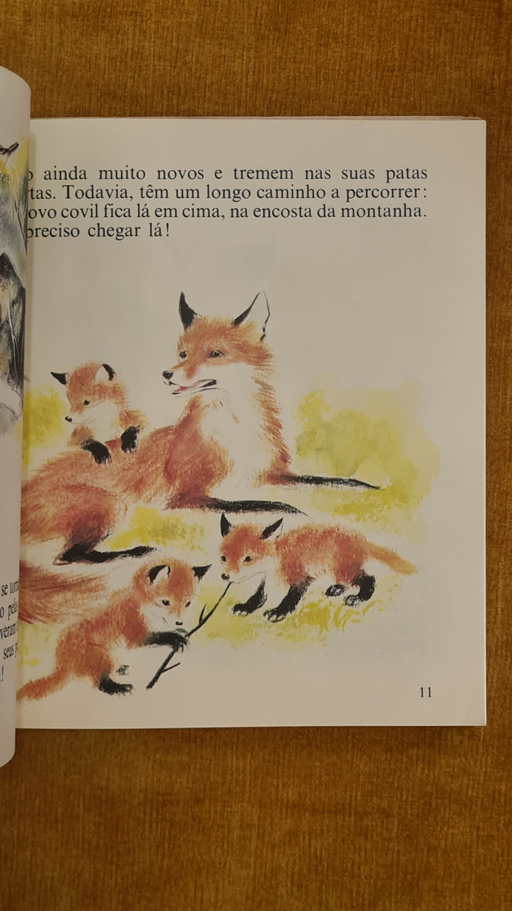 O raposinho traquinas
