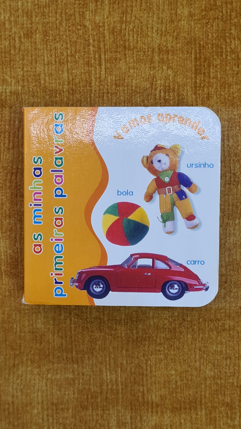 As minhas primeiras palavras - O meu livrinho