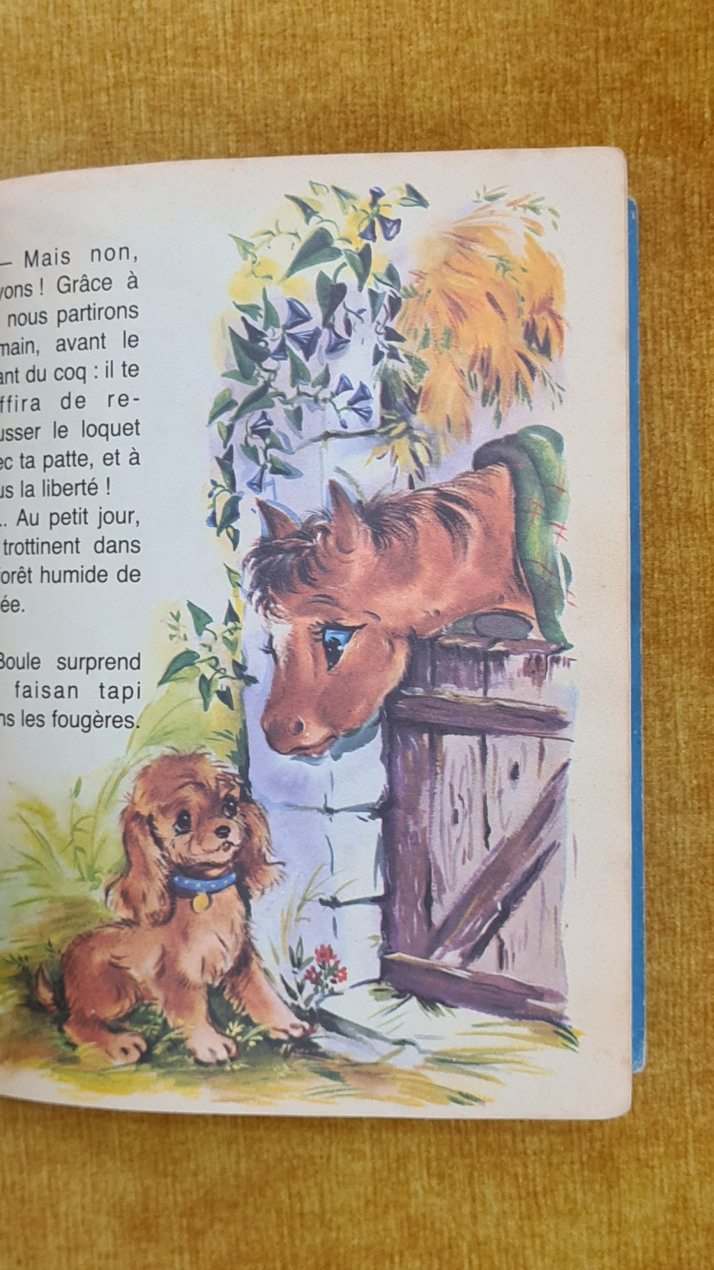 Boule et pervenche - Bébé Pelican