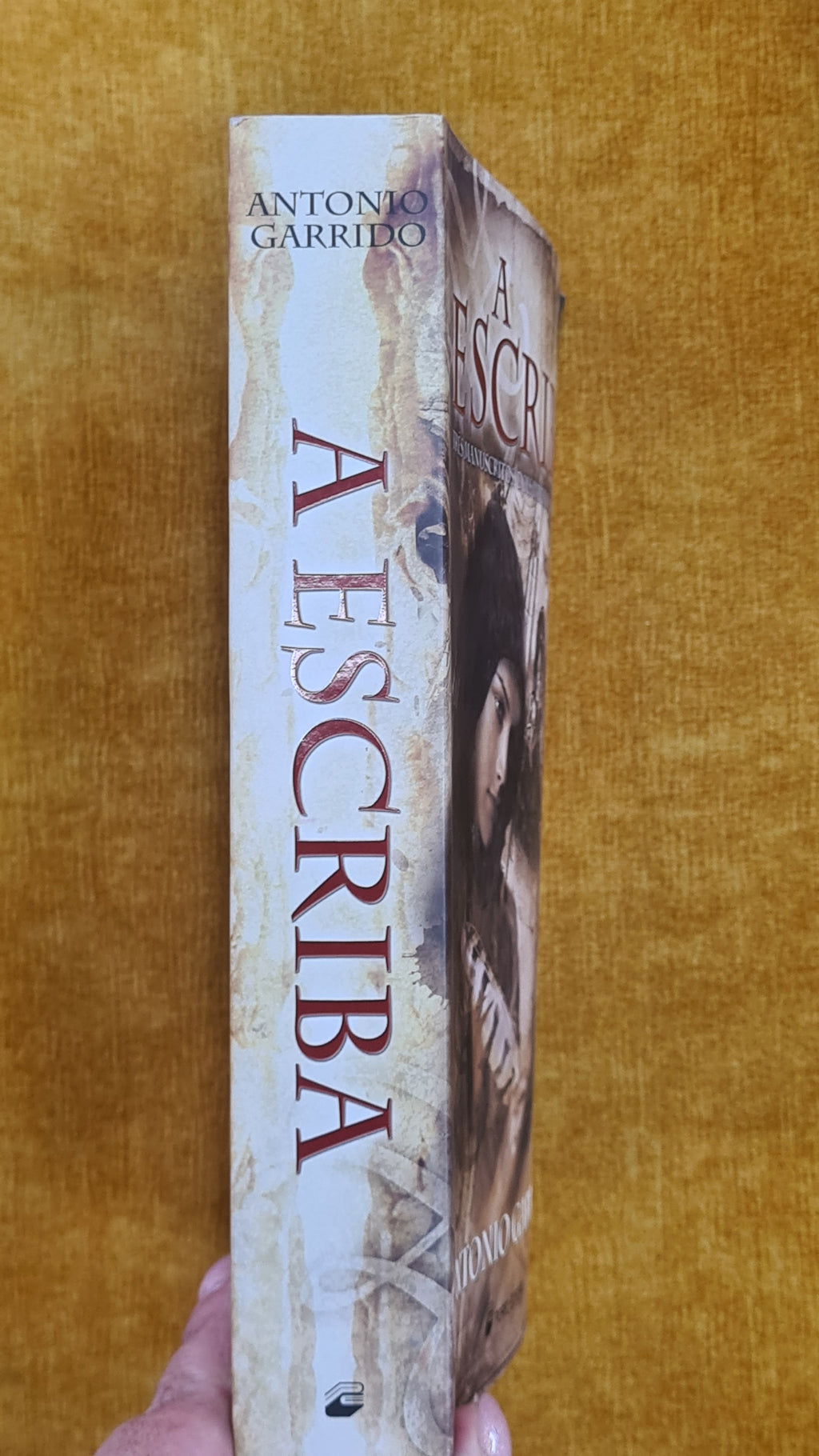 The Scribe: Three manuscripts. Two empires. A riddle