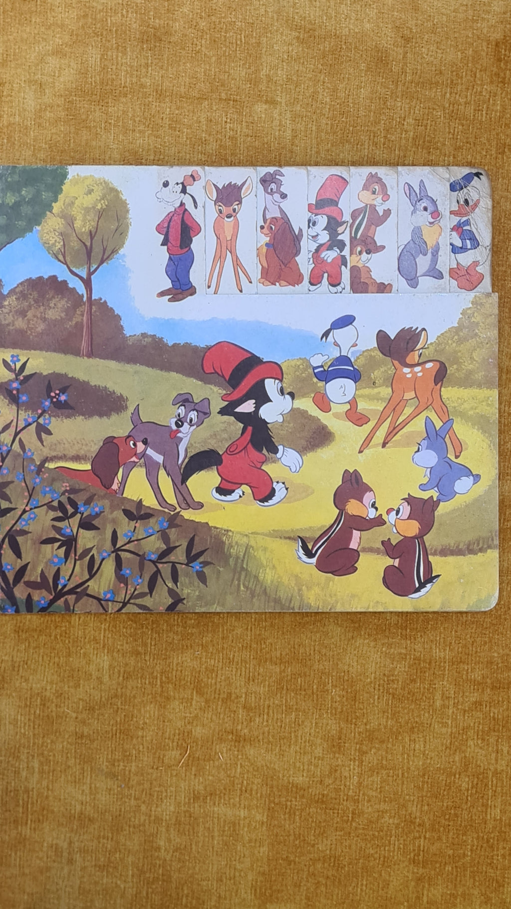 O piquenique dos 10