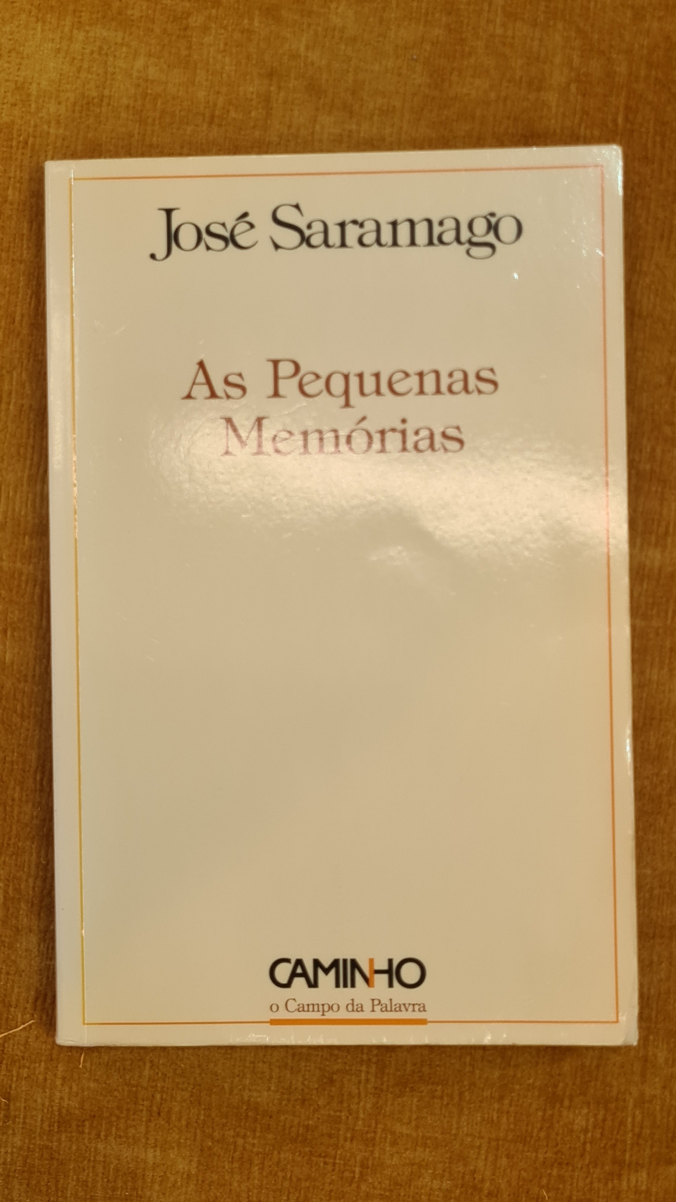 As pequenas memórias
