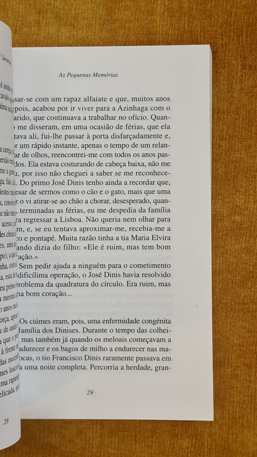 As pequenas memórias
