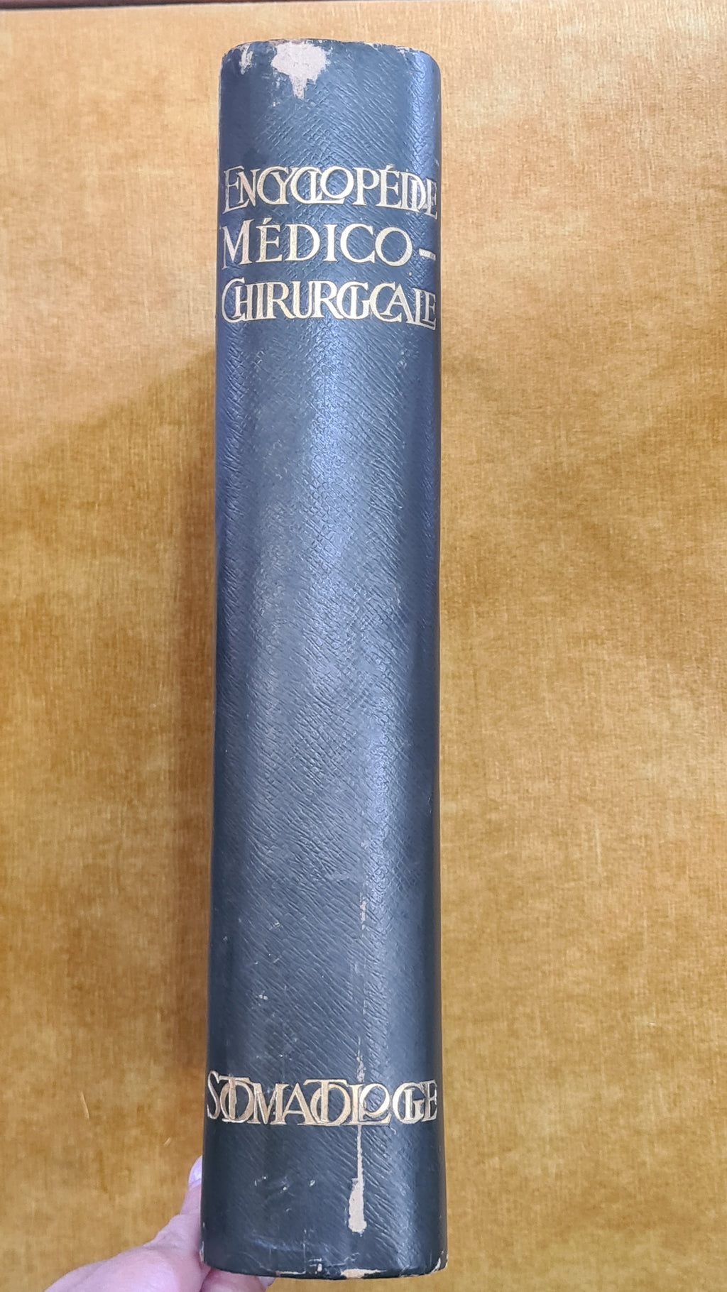 Encyclopédie Médico-Chirurgicale: Stomatologie