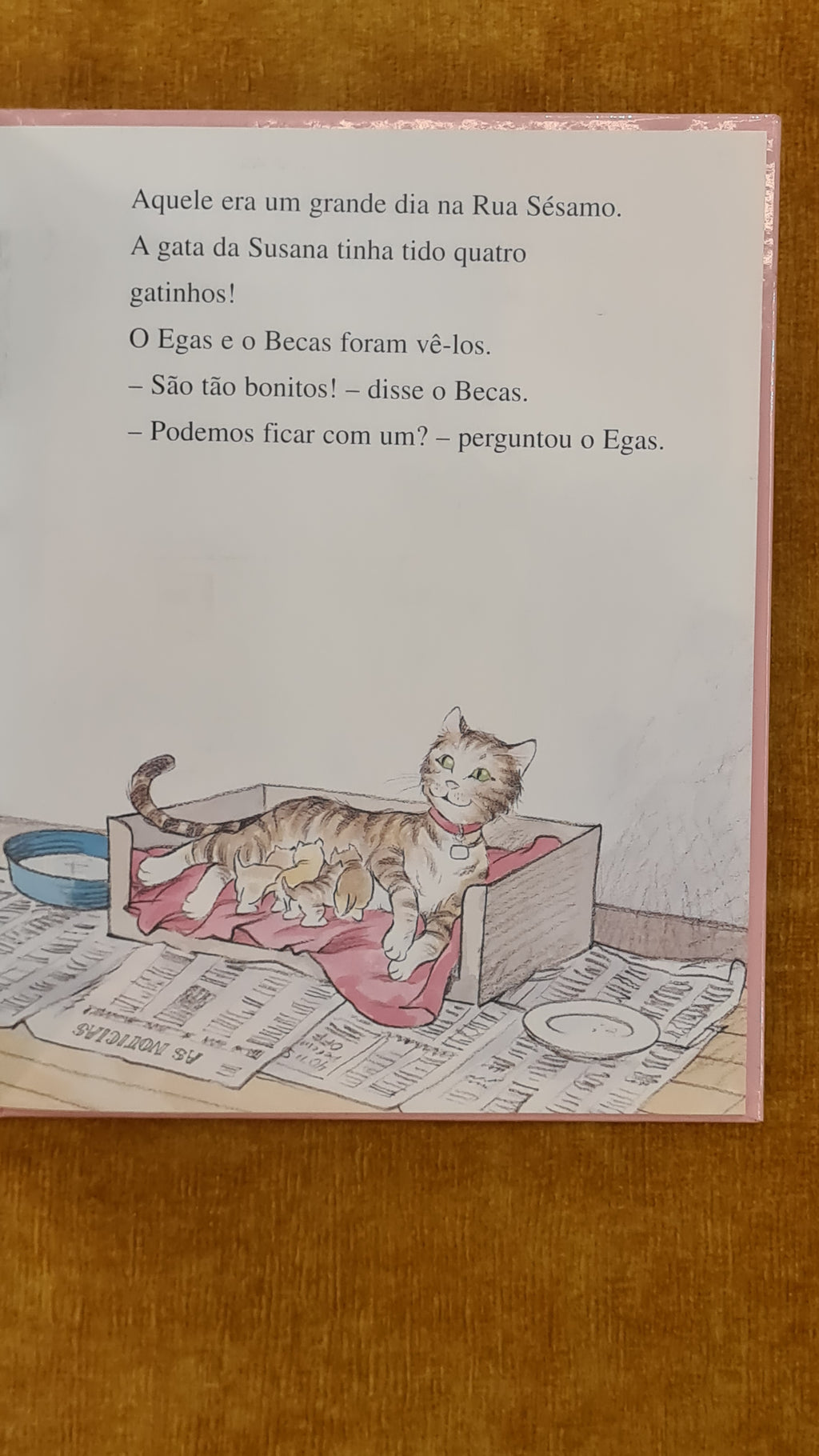 Mais um em casa - Rua Sésamo 12