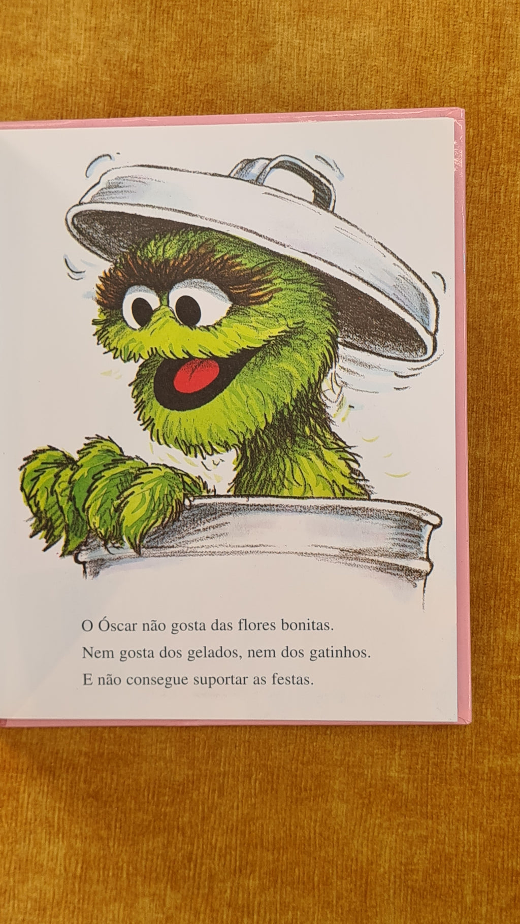 Um aniversário diferente - Rua Sésamo 4