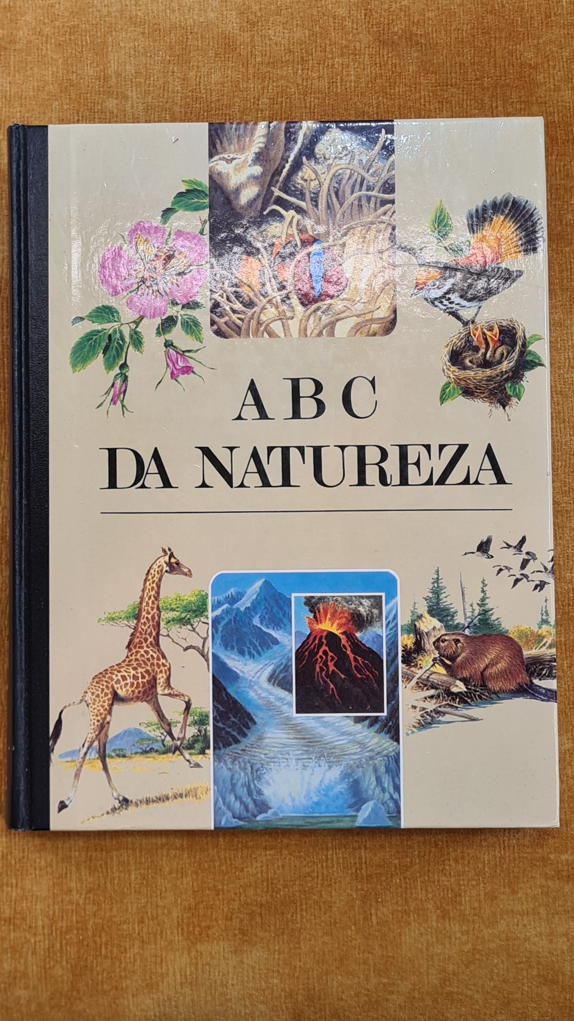 ABC da natureza