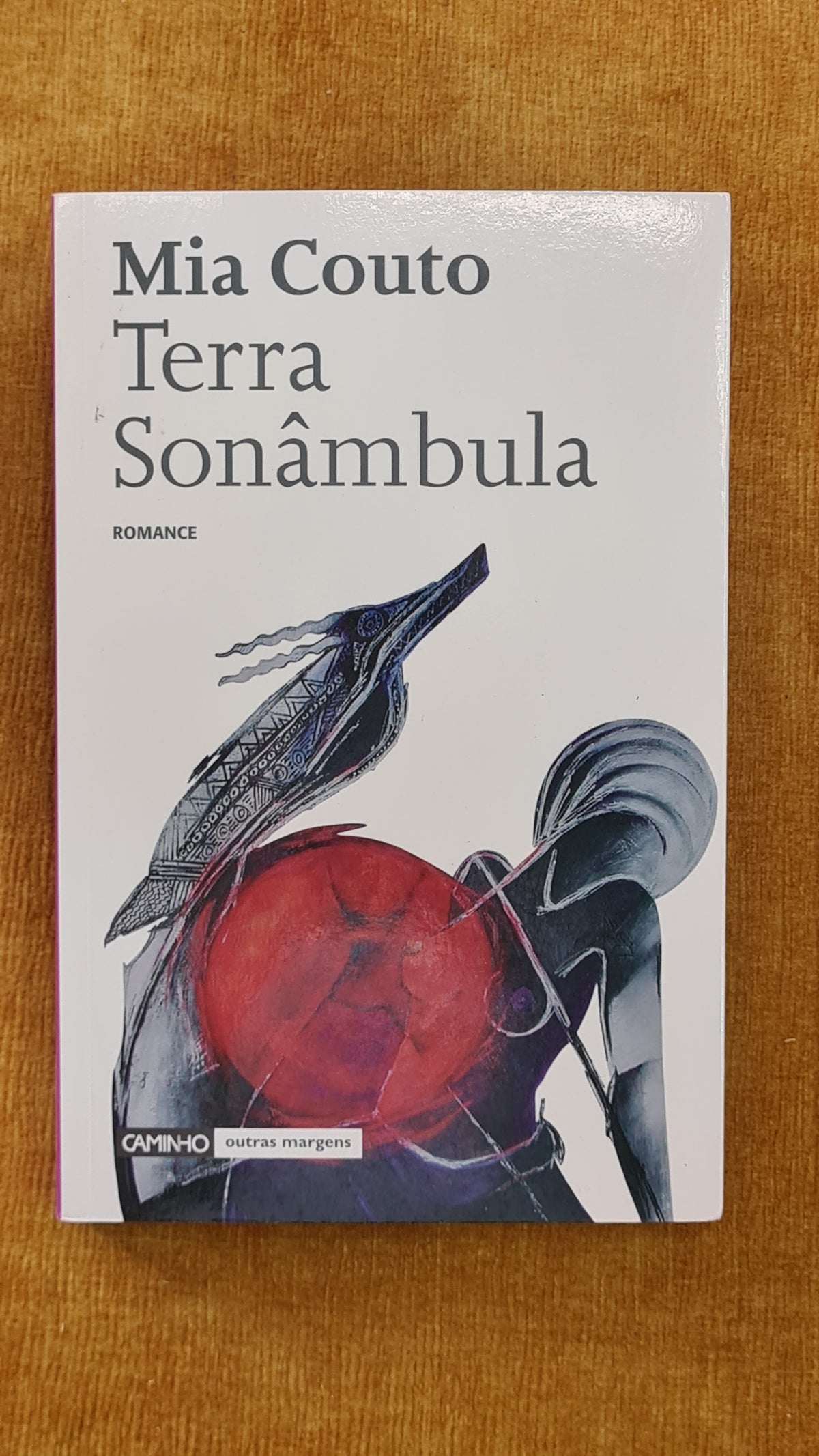 Terra sonâmbula