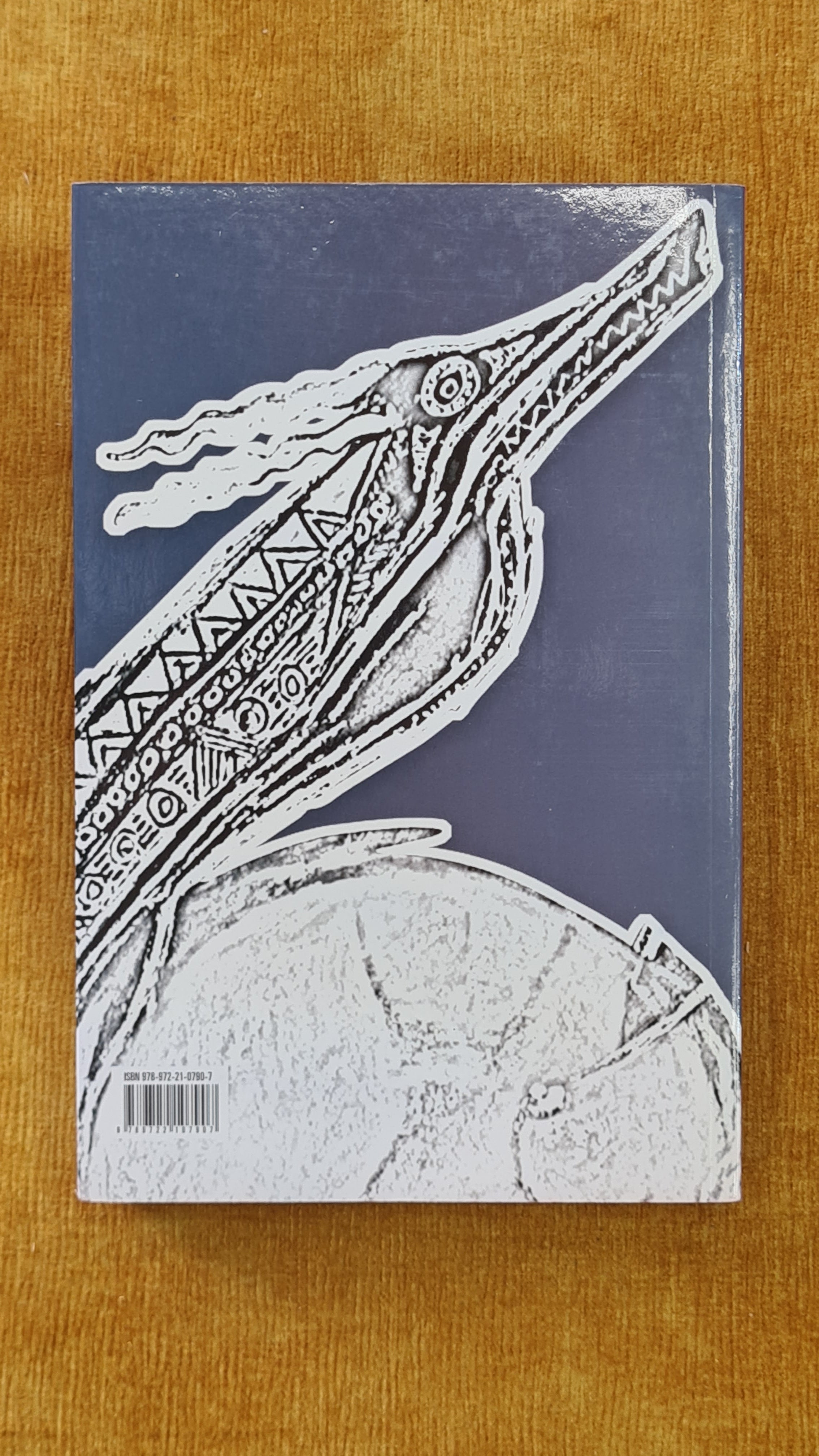 Terra sonâmbula