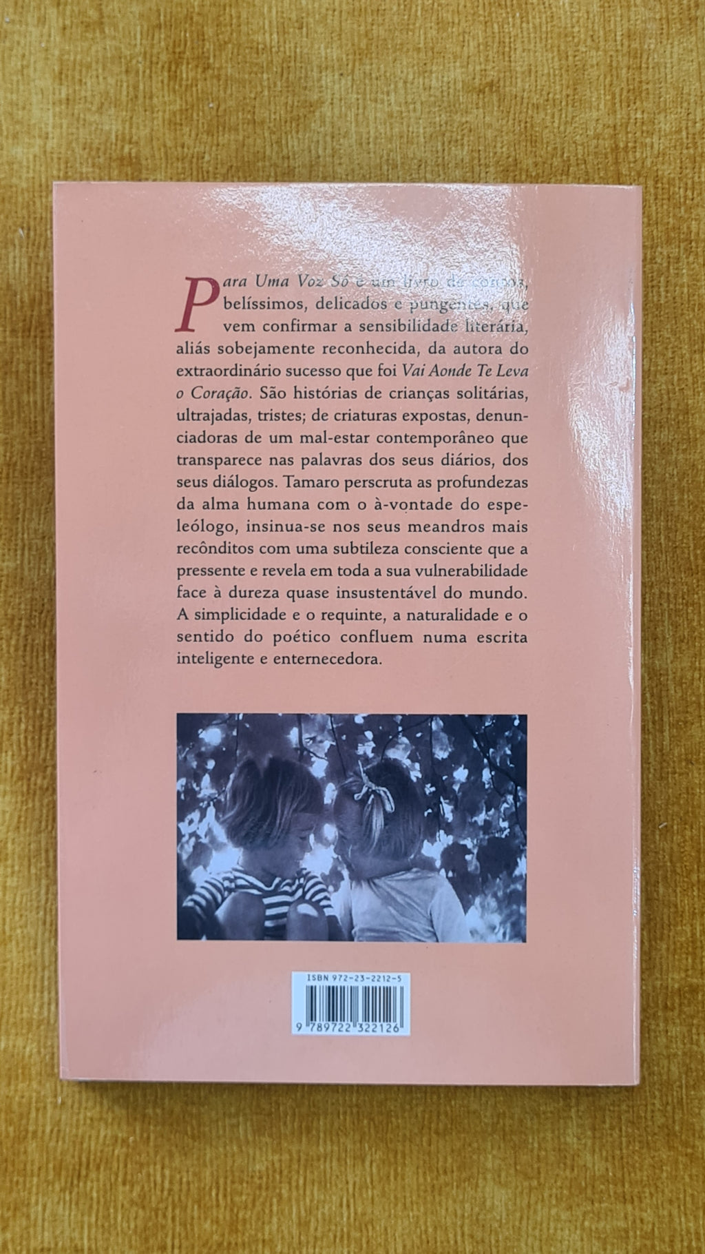 Para uma voz só