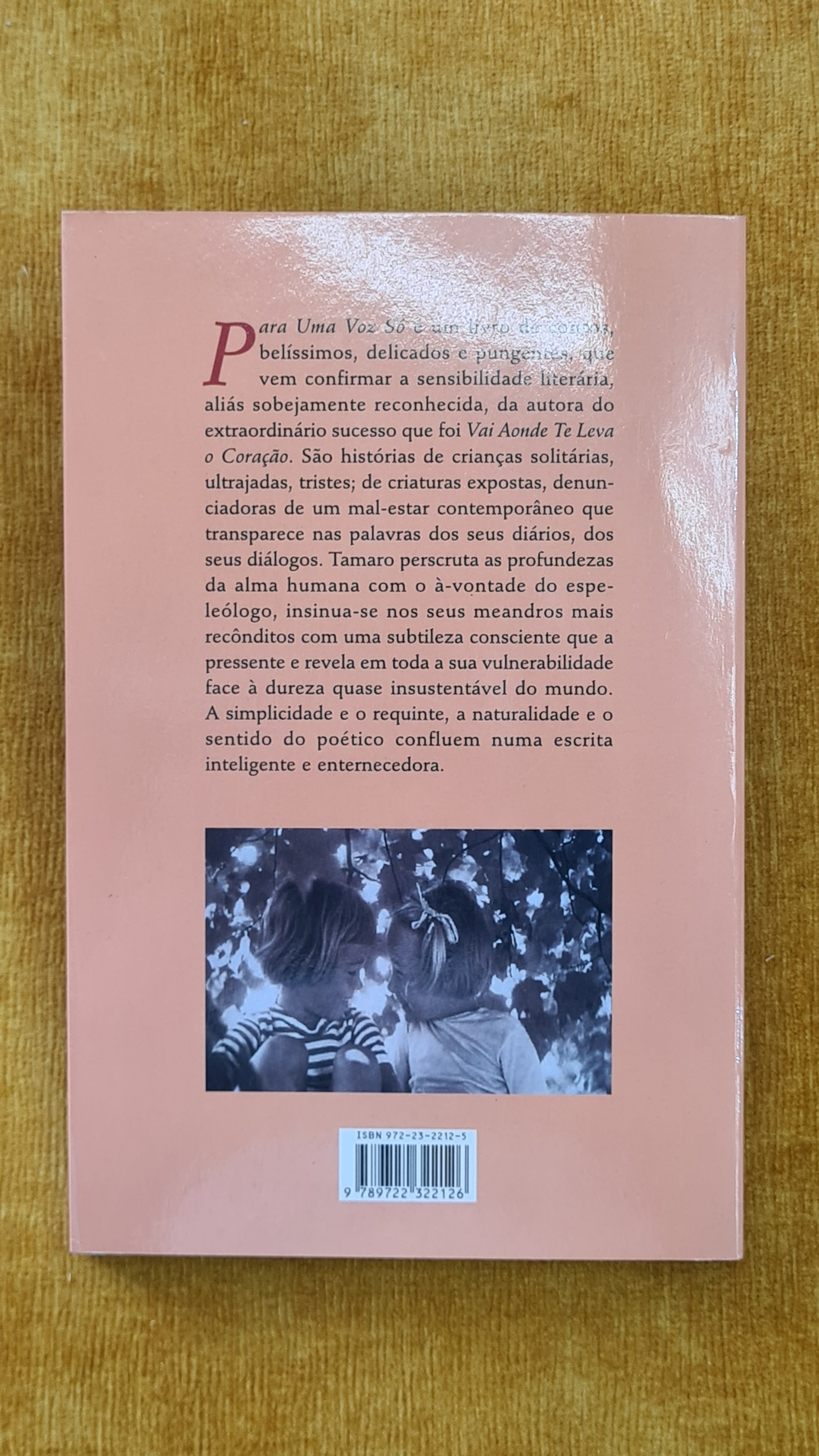 Para uma voz só