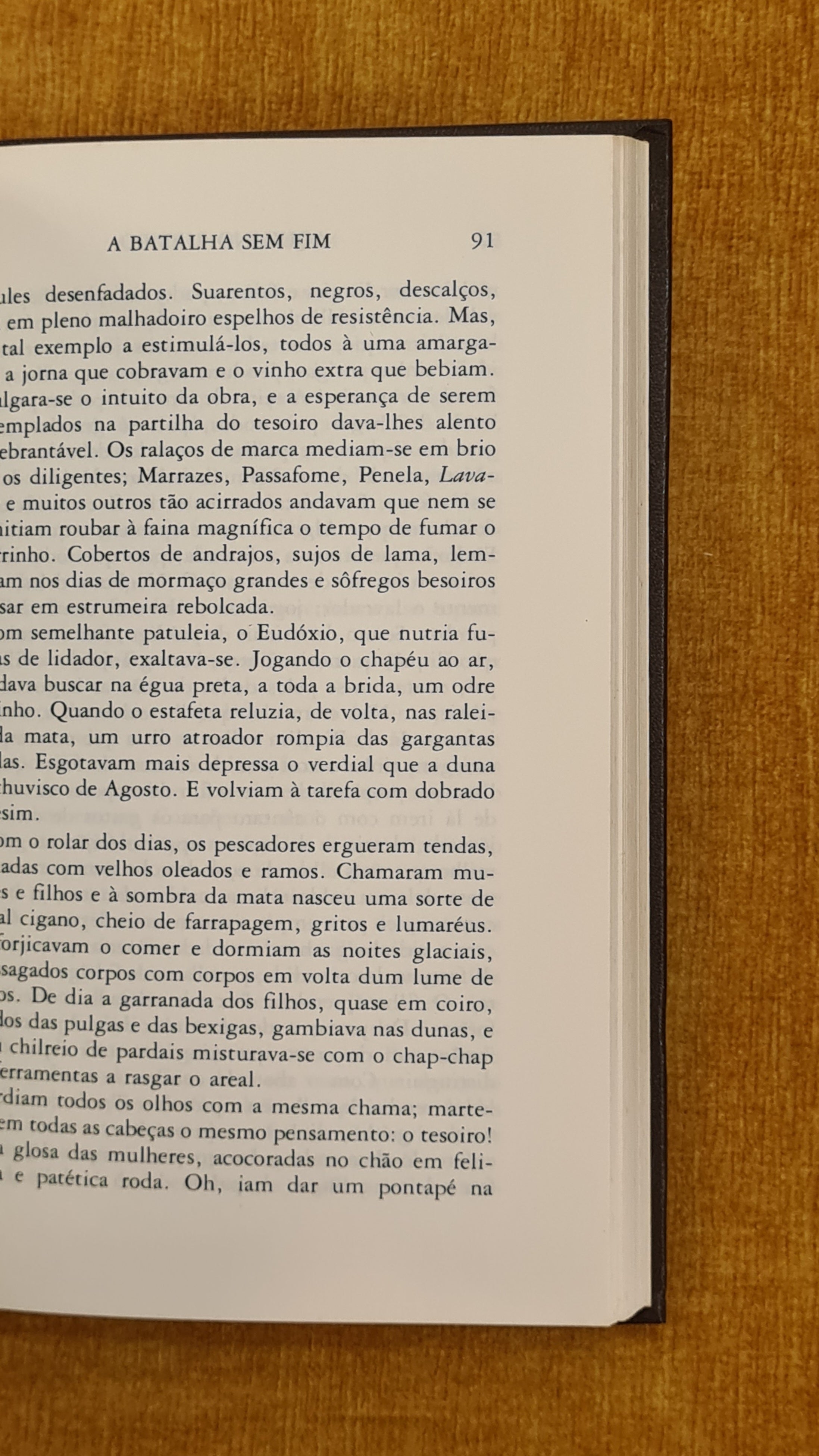 Romances completos de Aquilino Ribeiro V (A batalha sem fim)