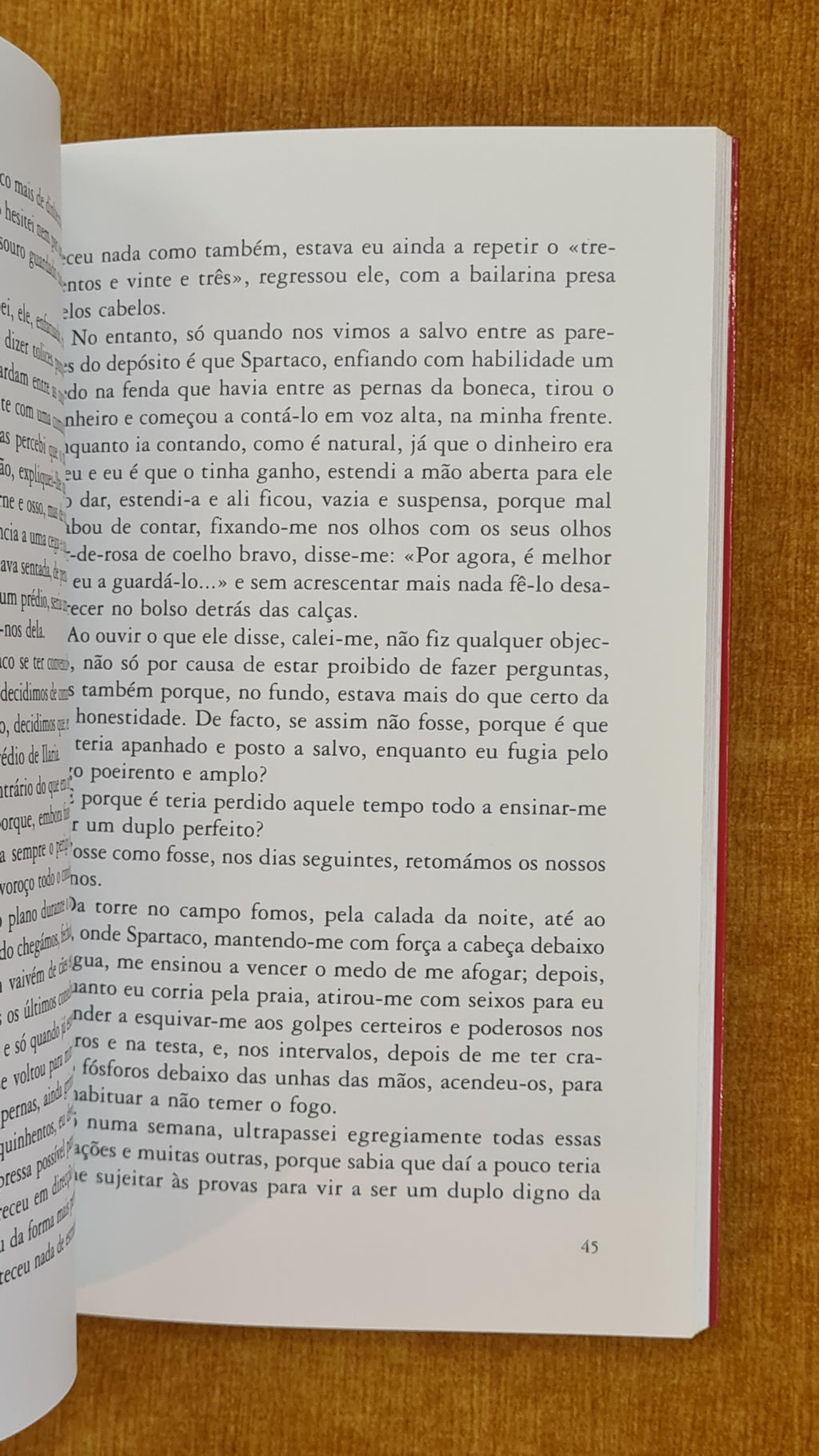 Com a cabeça nas nuvens