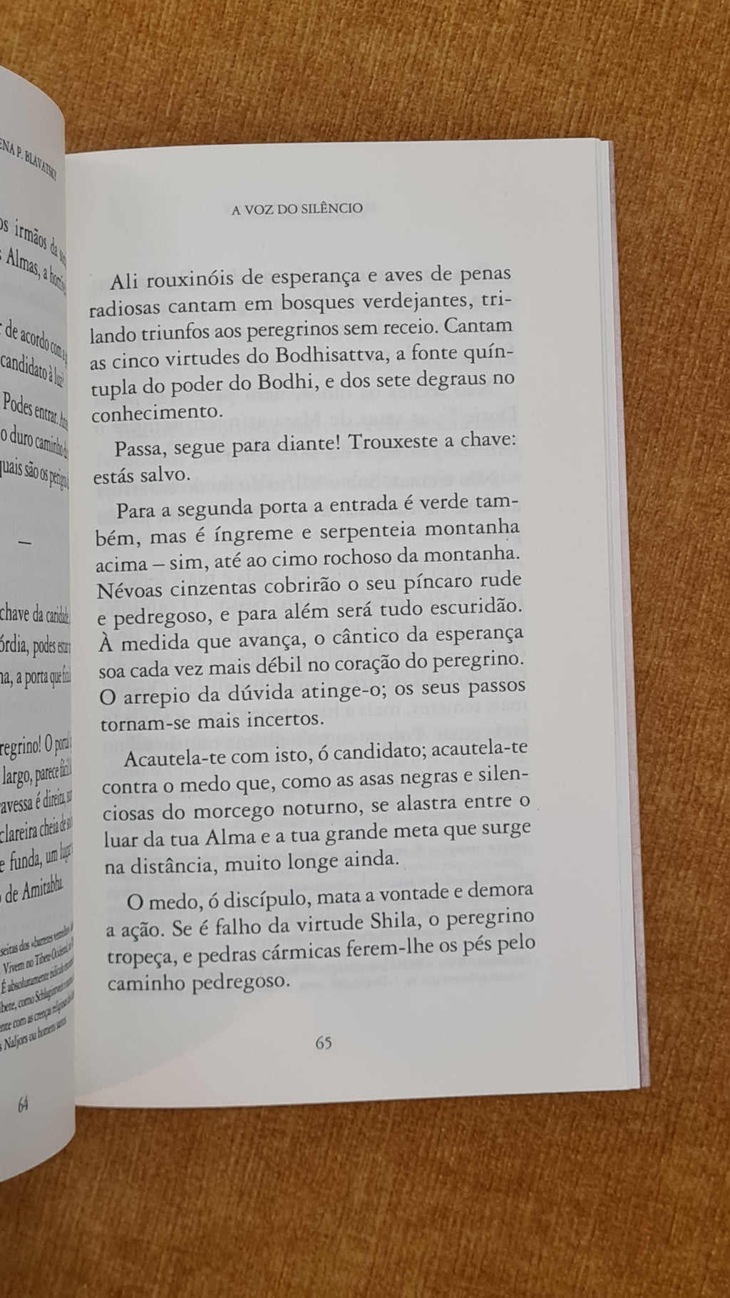 A voz do silêncio