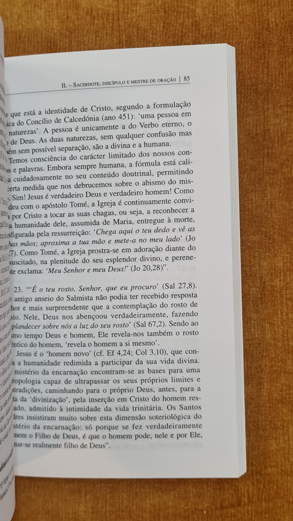 Sacerdos - Apontamentos de espiritualidade sacerdotal