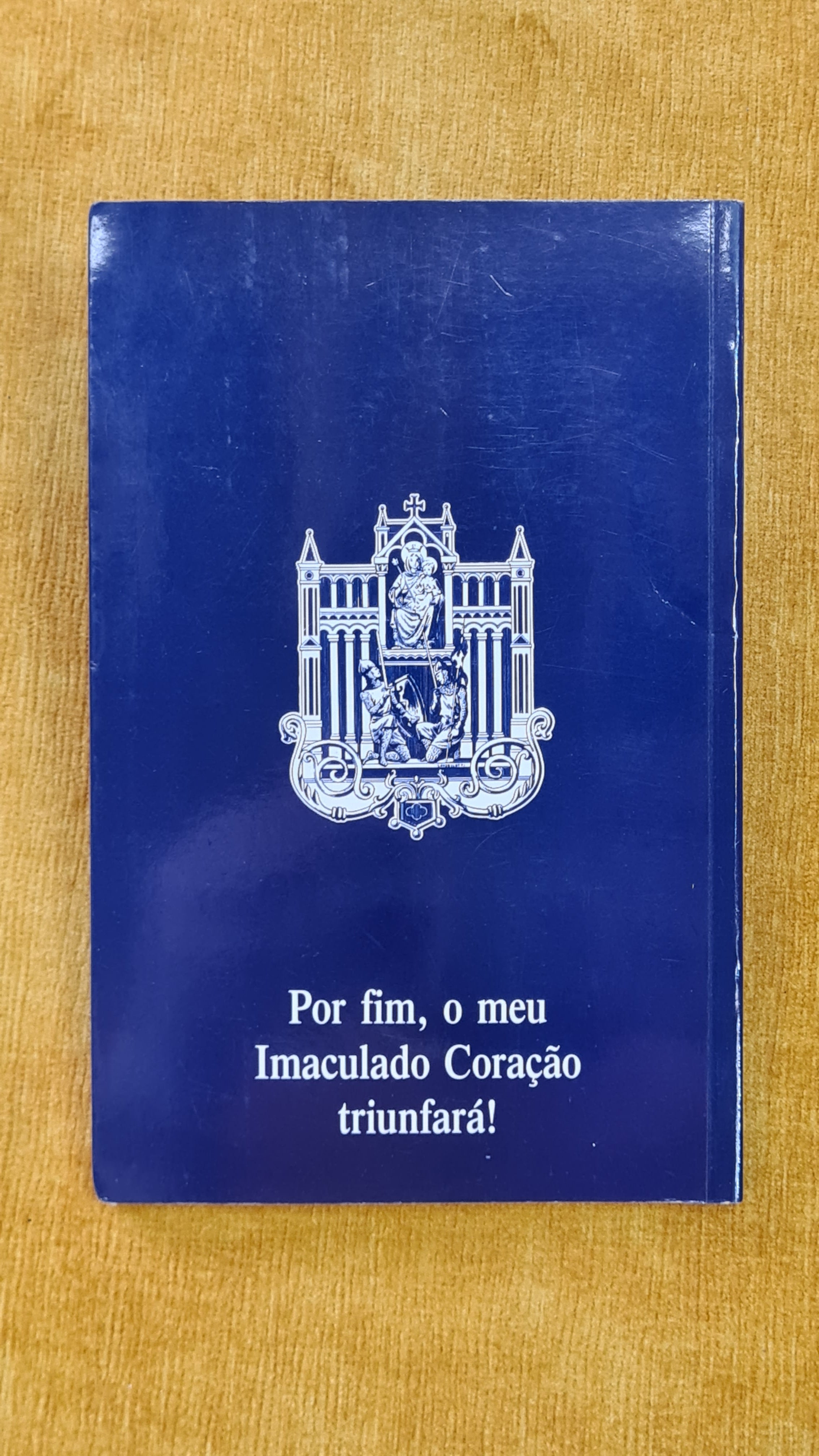 As aparições e a mensagem de Fátima nos manuscritos da Irmã Lúcia