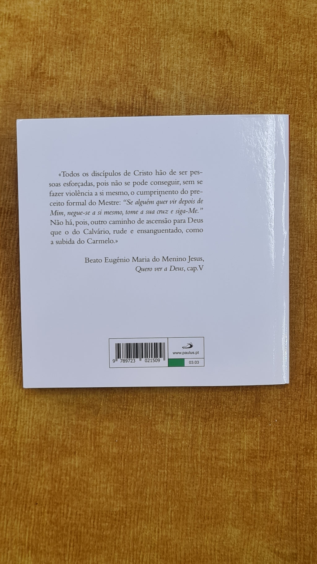 Via Sacra com os santos do Carmelo