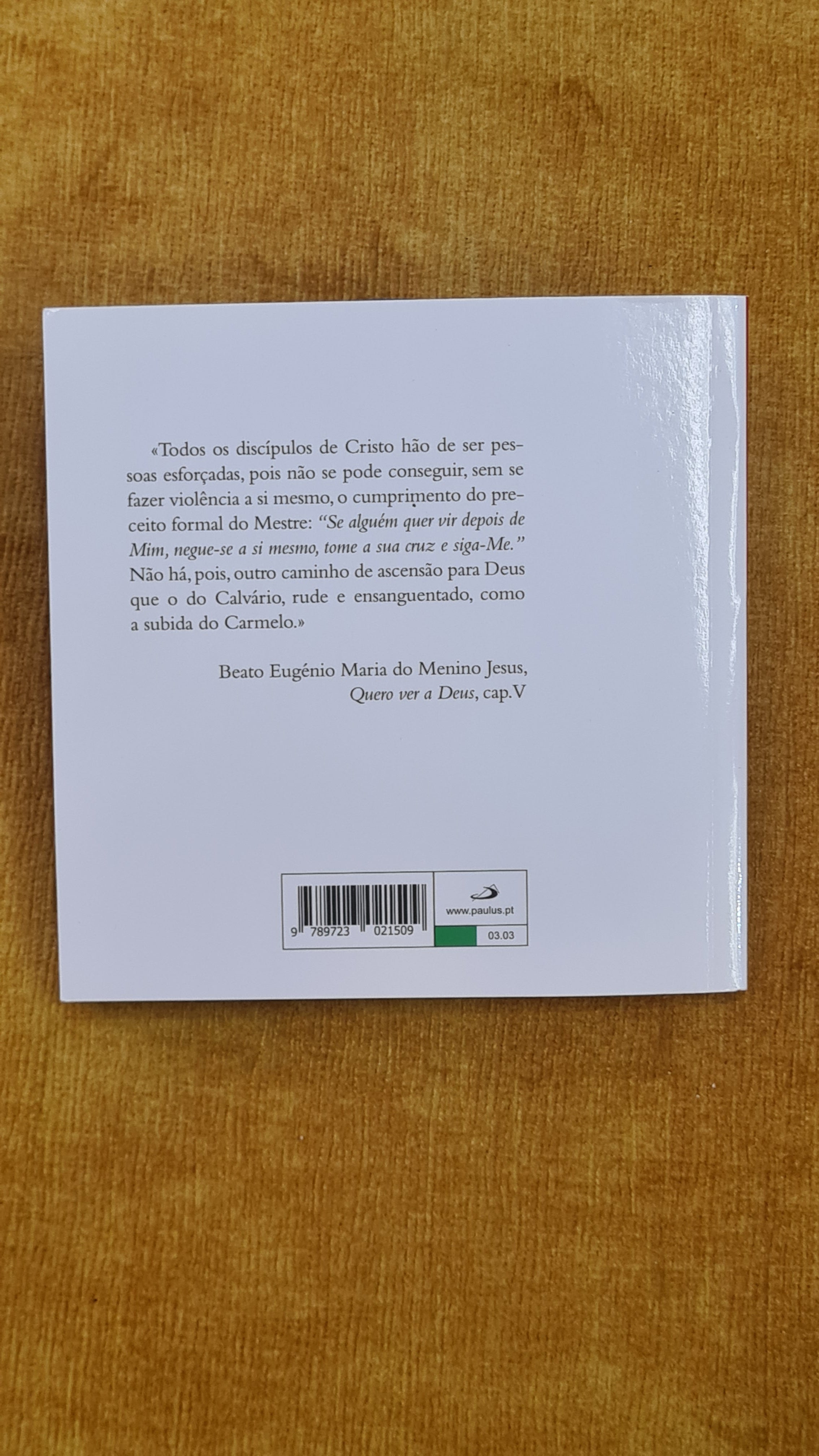 Via Sacra com os santos do Carmelo