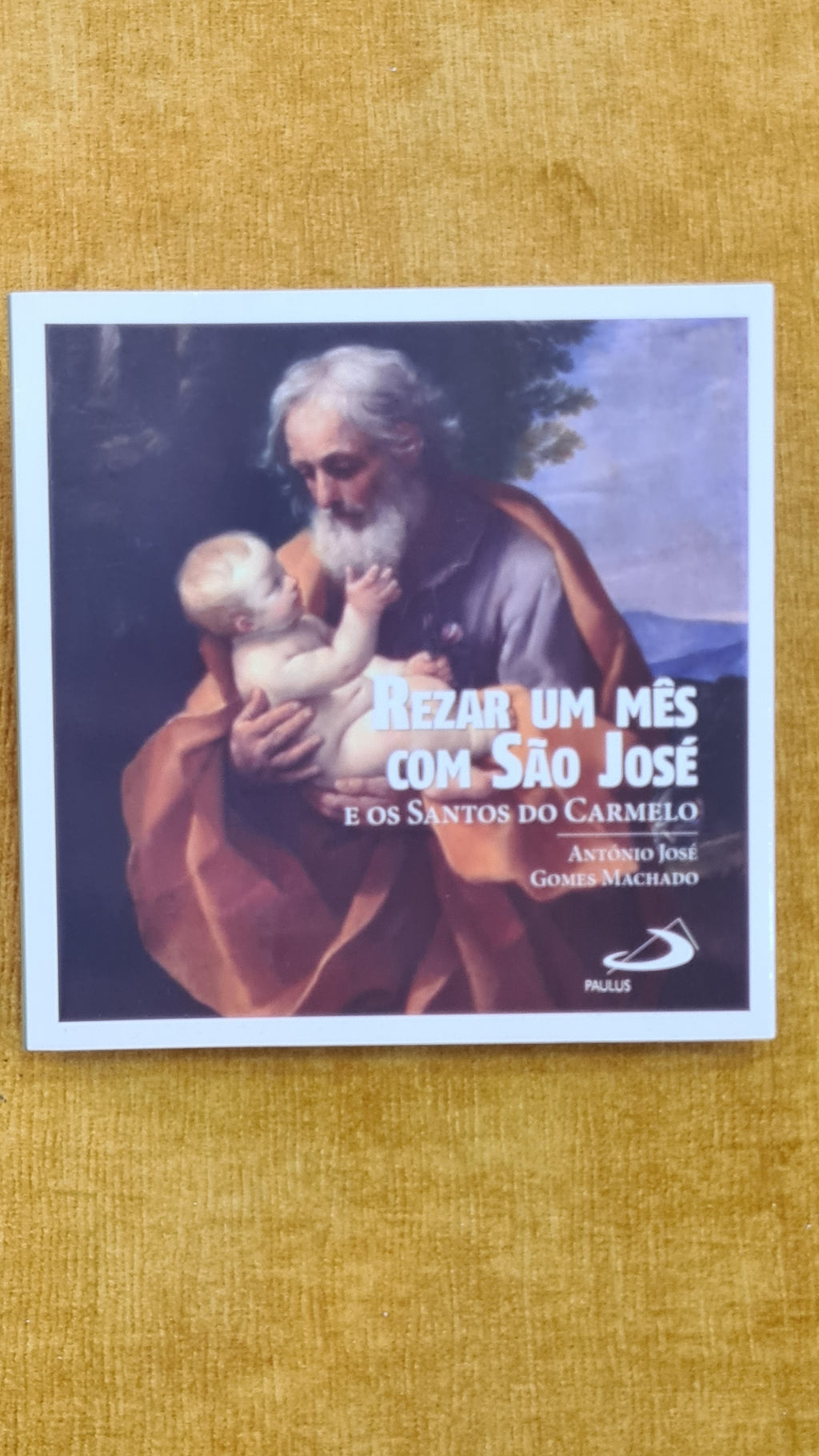 Rezar um mês com São José e os santos do Carmelo