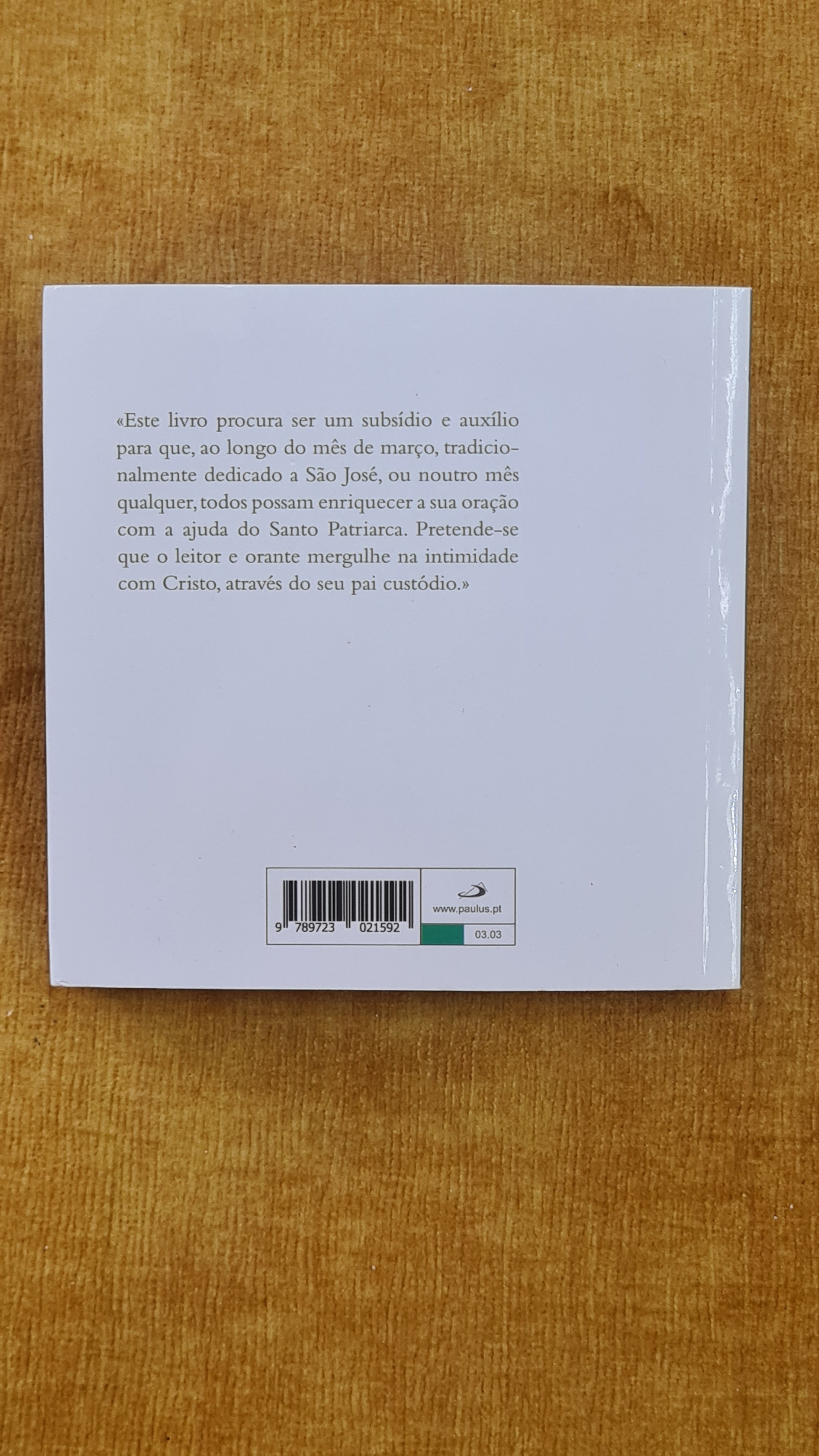 Rezar um mês com São José e os santos do Carmelo