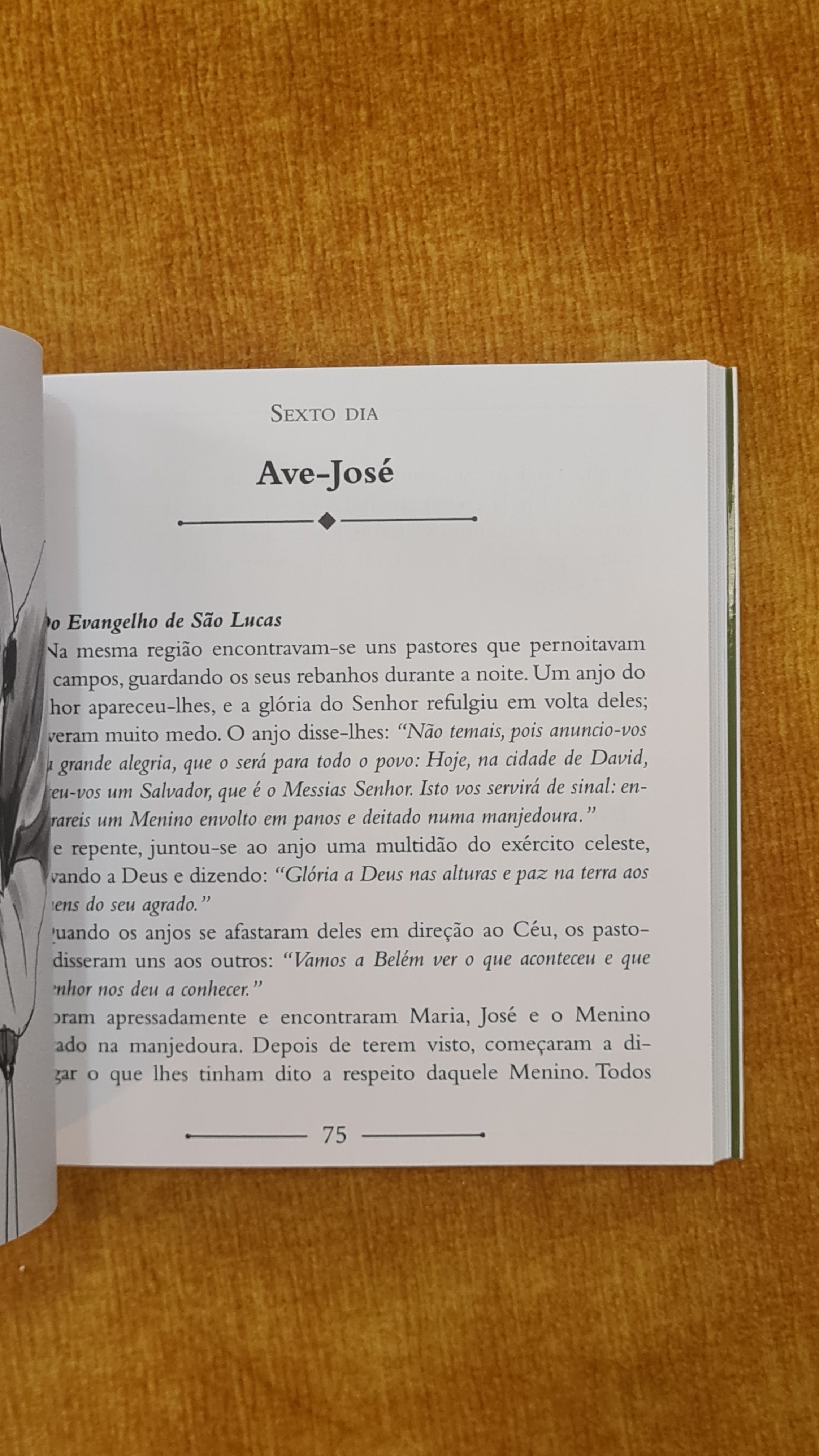 Rezar um mês com São José e os santos do Carmelo