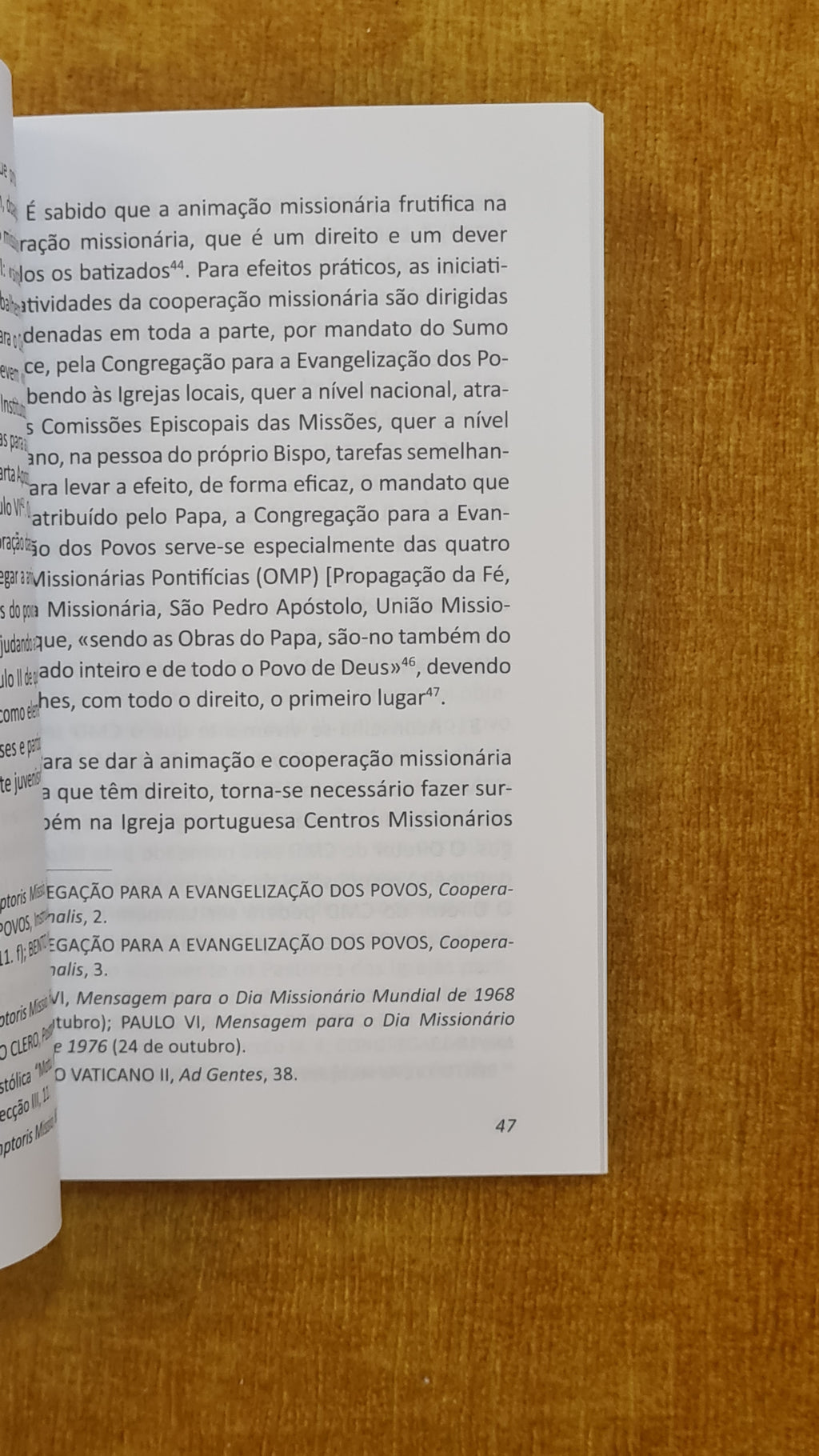 Ano missionário: documentos