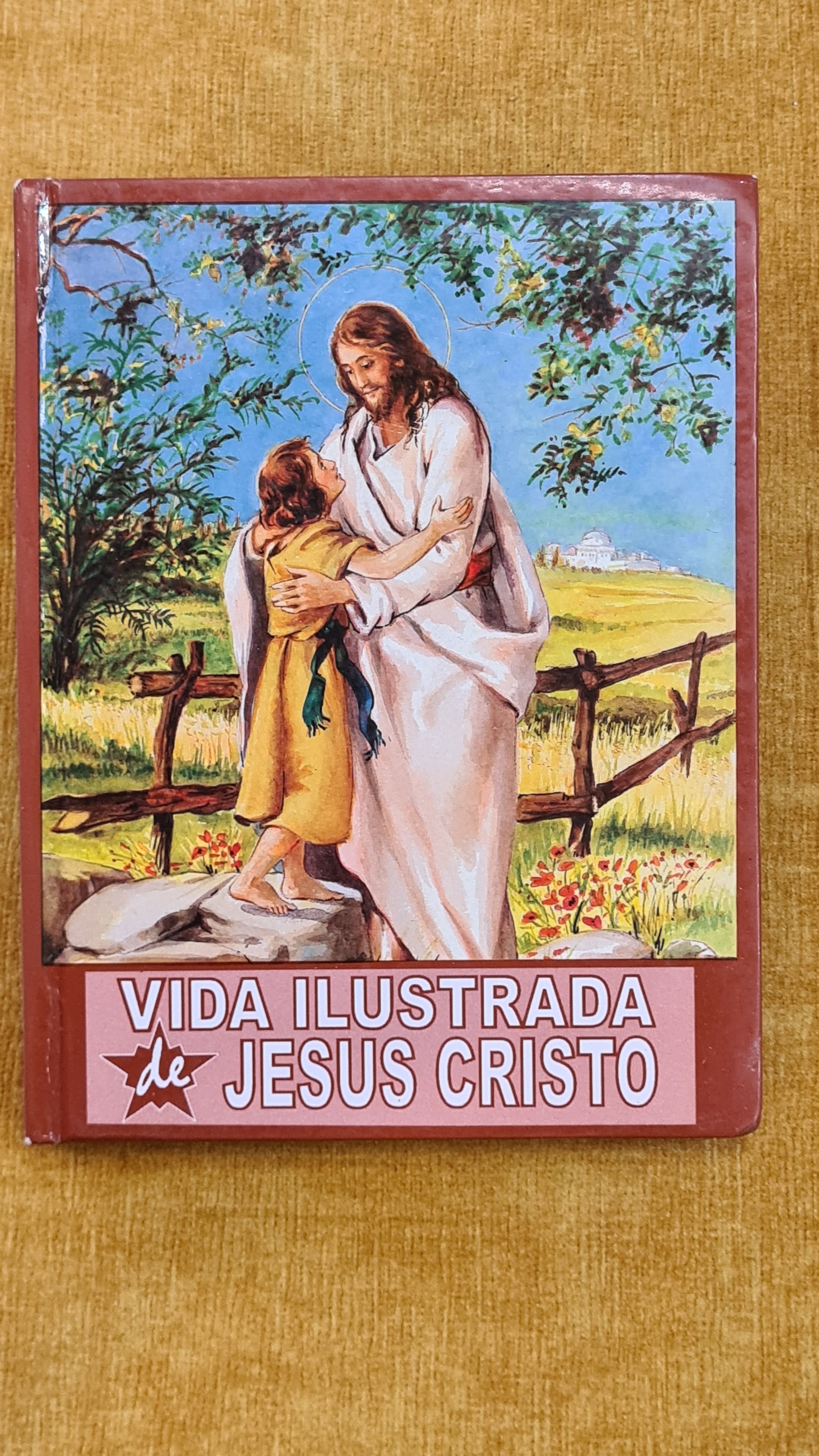 Vida ilustrada de Jesus Cristo