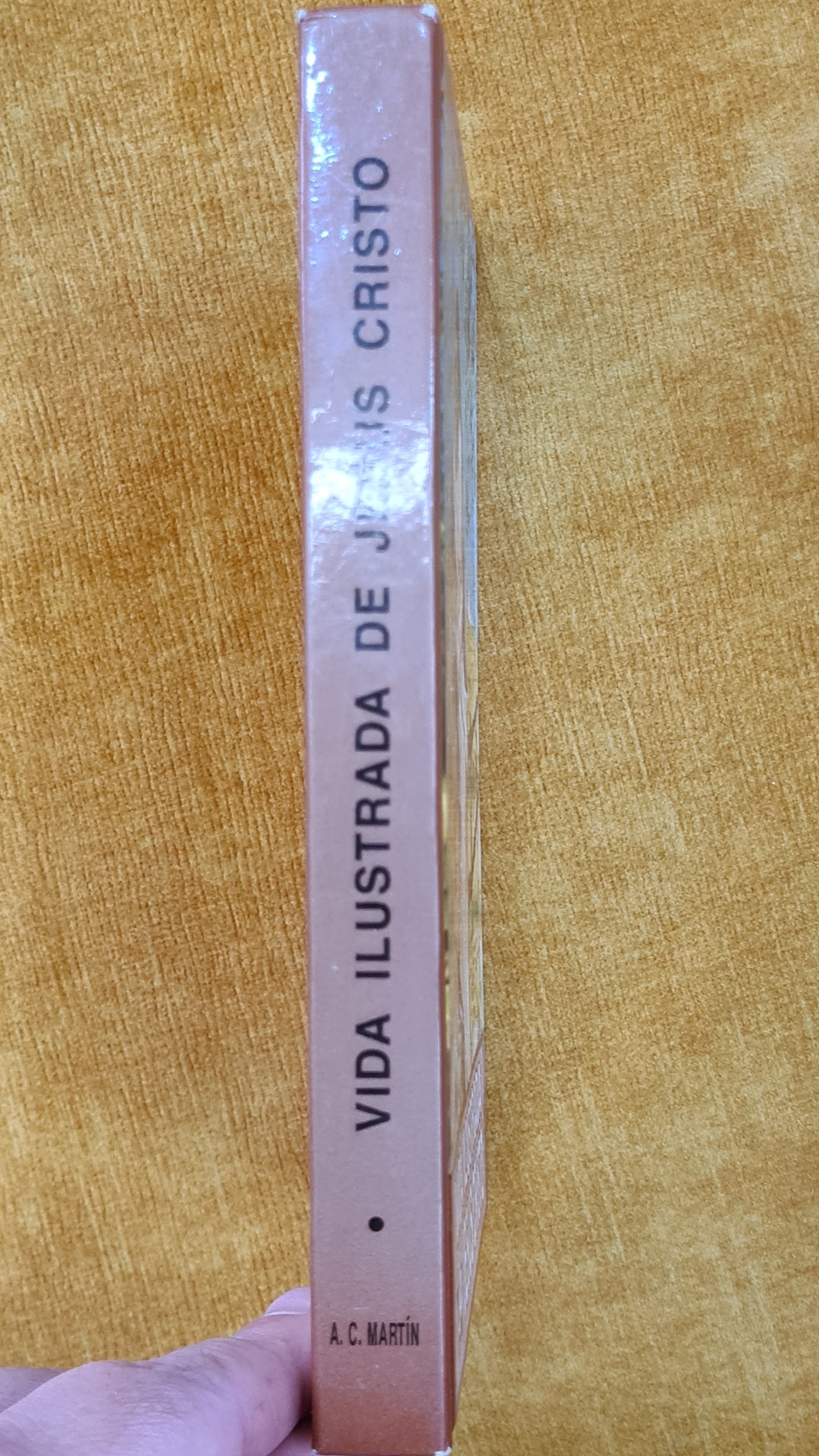 Vida ilustrada de Jesus Cristo