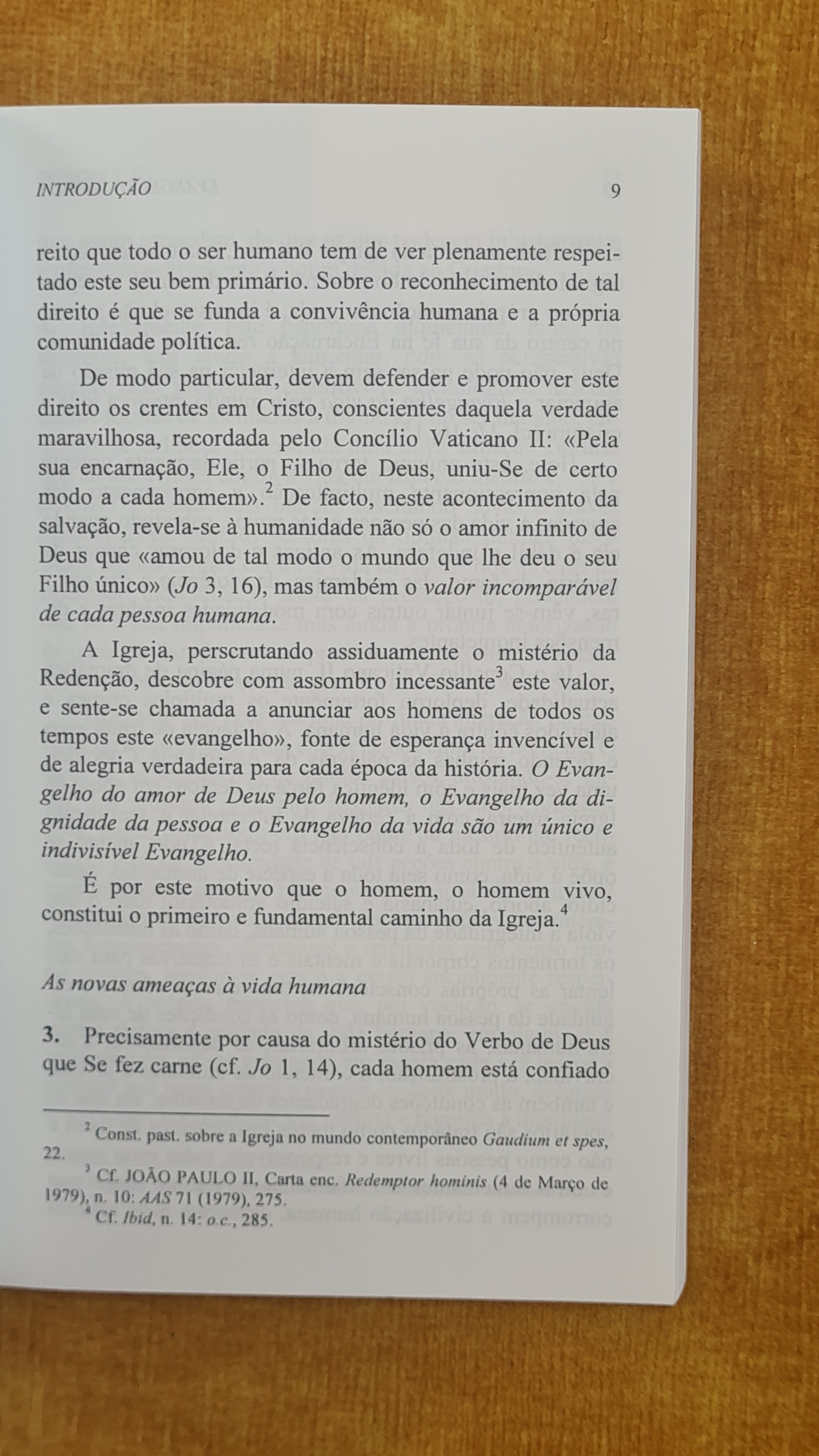 Evangelho da vida - Colecção Documentos Pontifícos