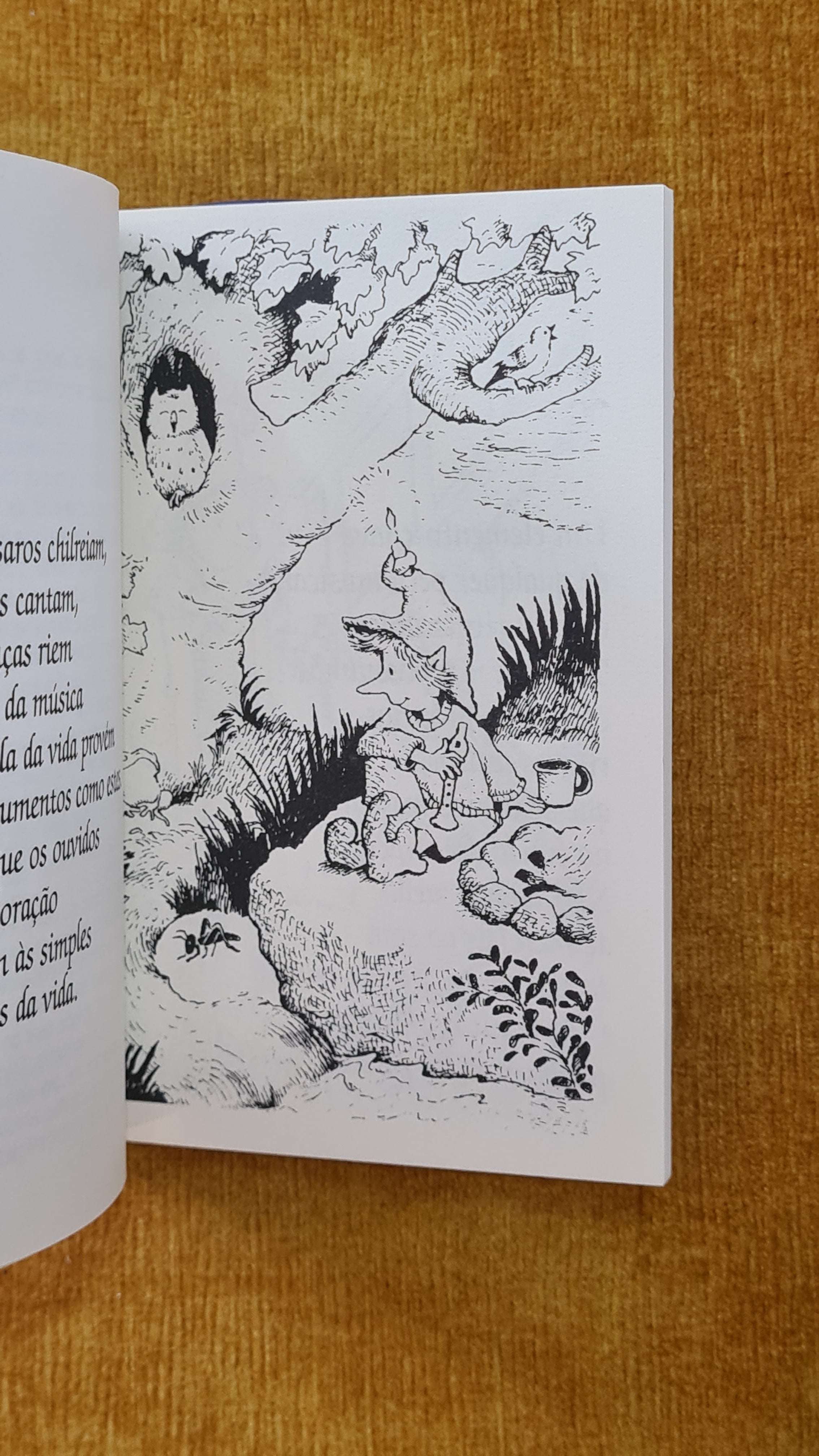 A magia da música