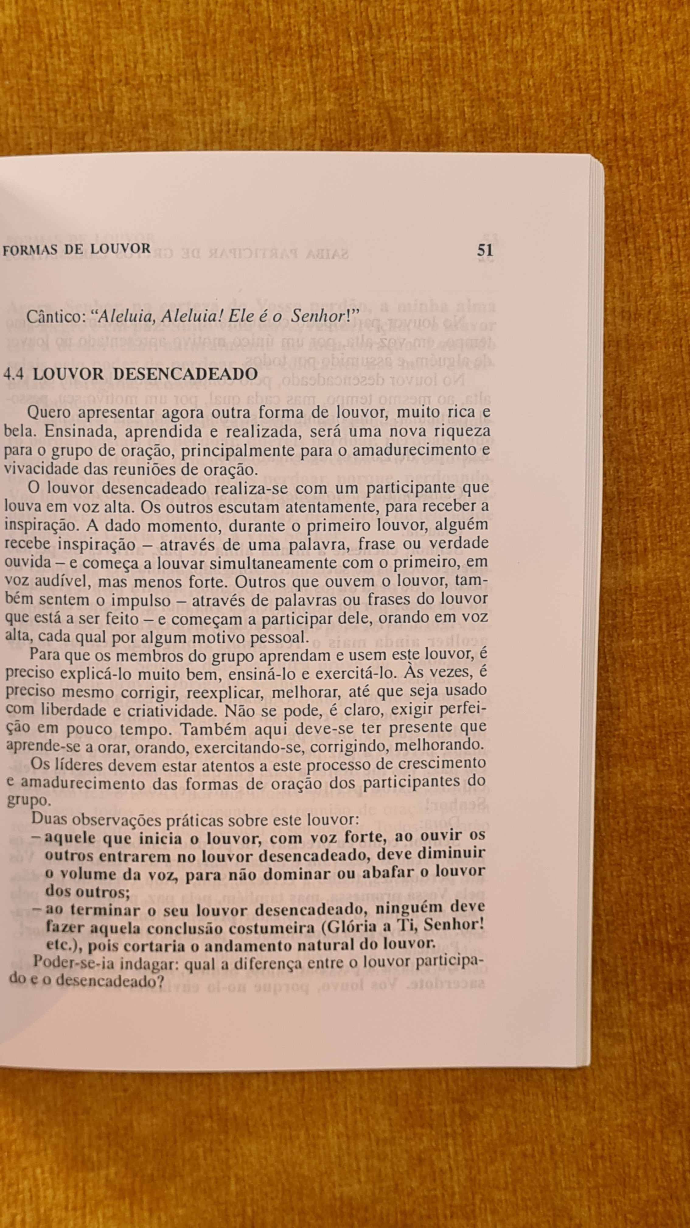 Saiba participar de grupos carismáticos
