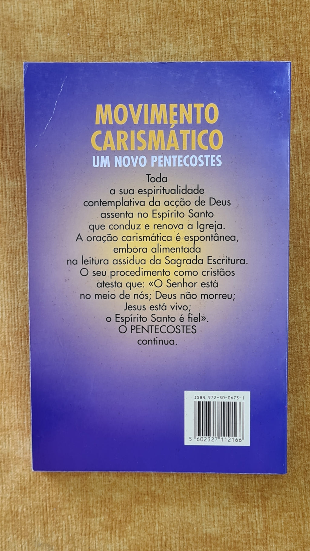 Movimento carismático: Um novo pentecostes - Cristianismo Aberto 16