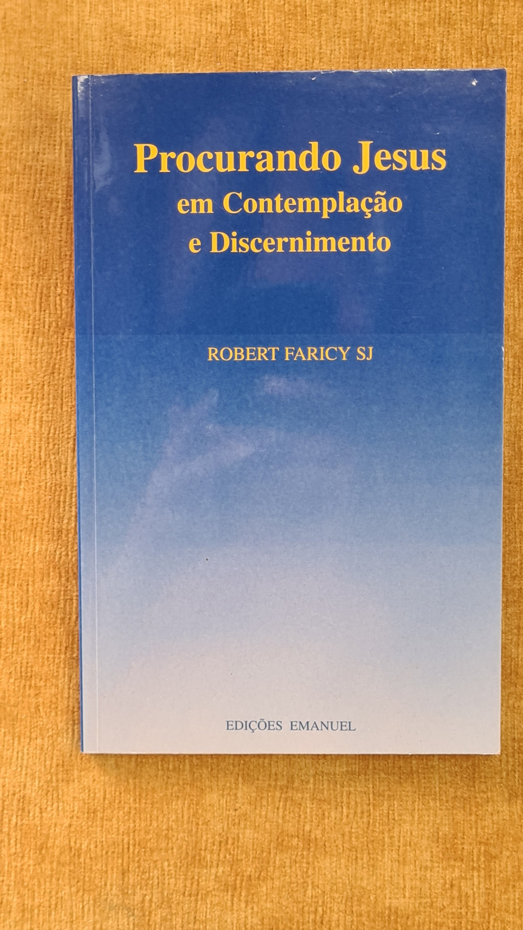 Seeking Jesus in contemplation and discernment