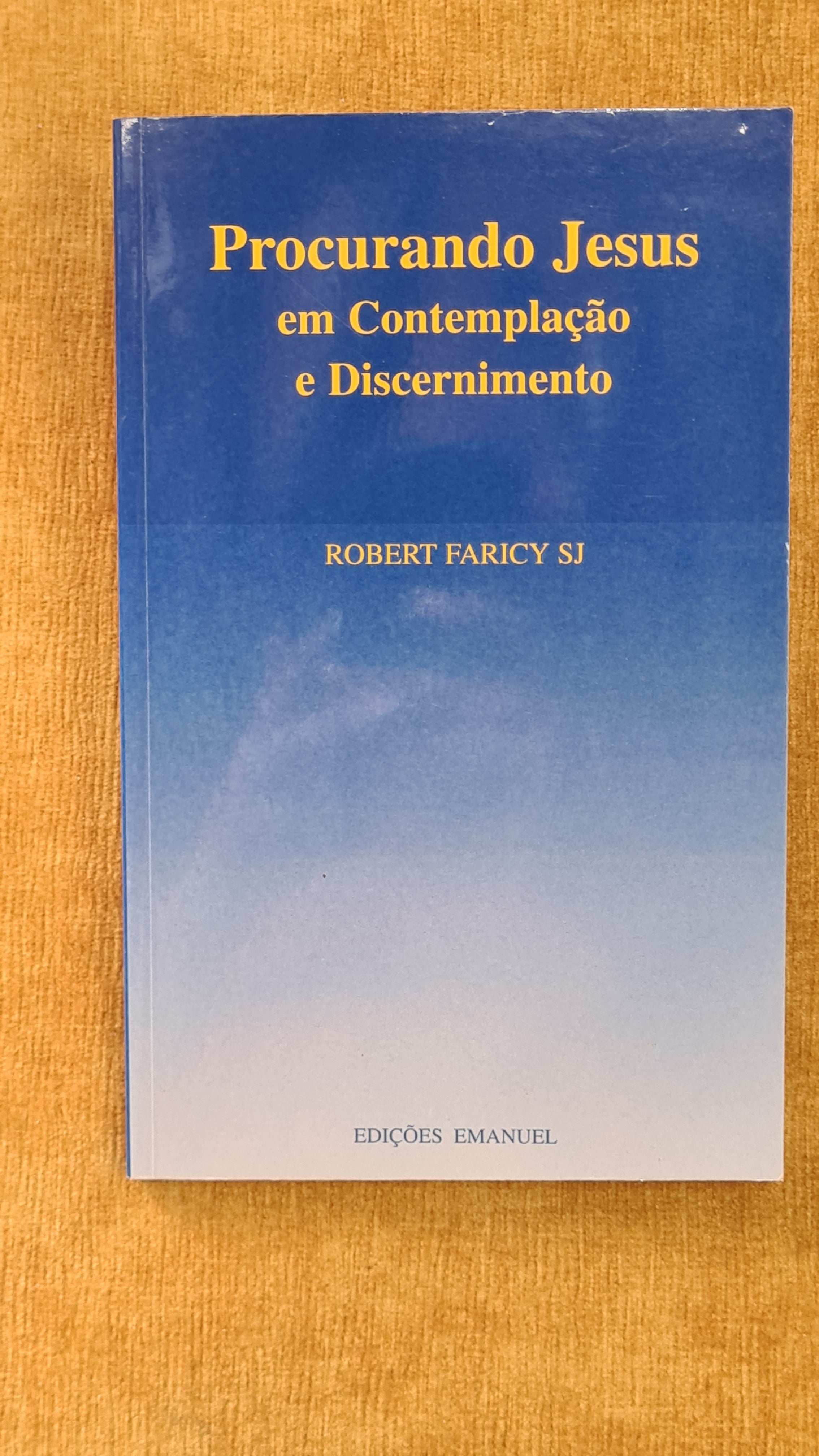 Seeking Jesus in contemplation and discernment
