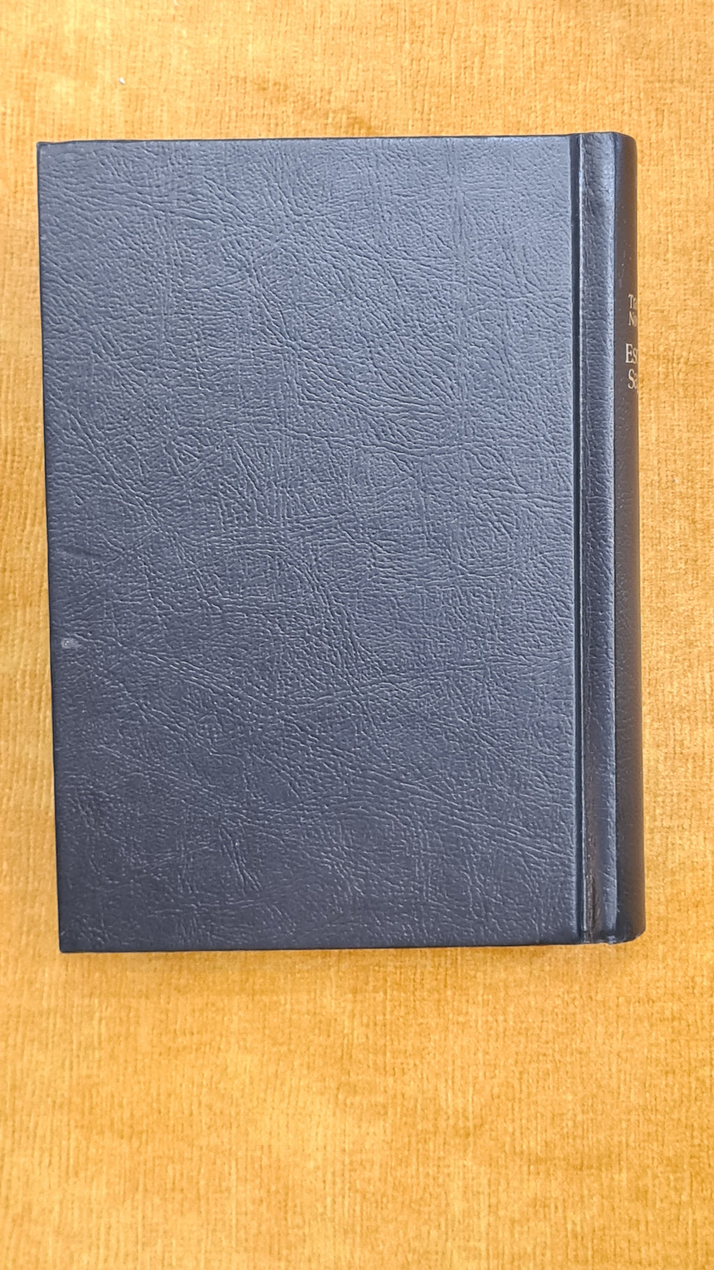 New World Translation of the Holy Scriptures