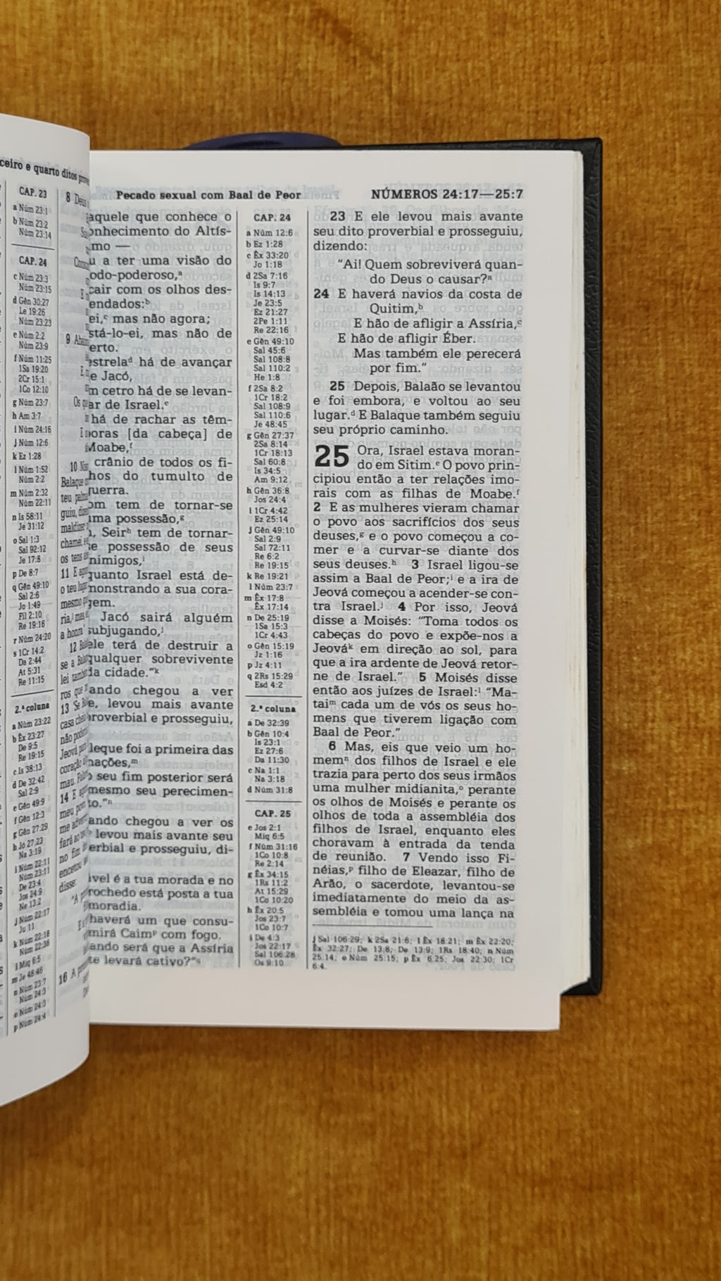 New World Translation of the Holy Scriptures