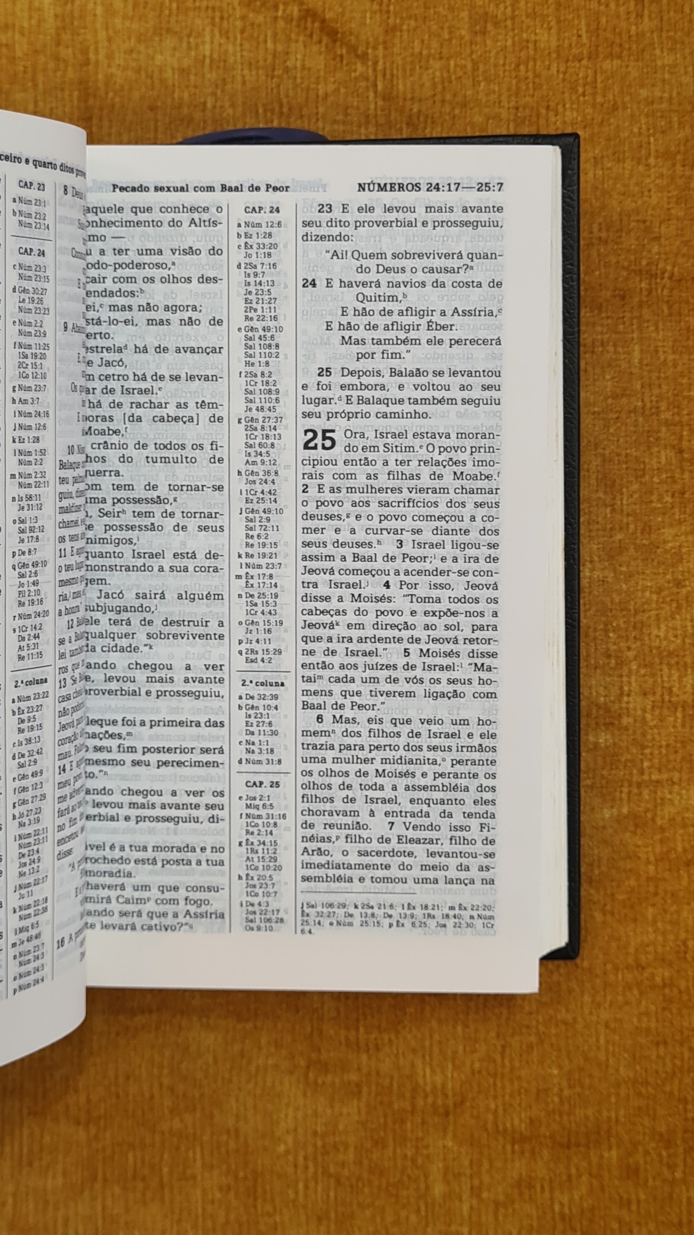 Tradução do novo mundo das escrituras sagradas