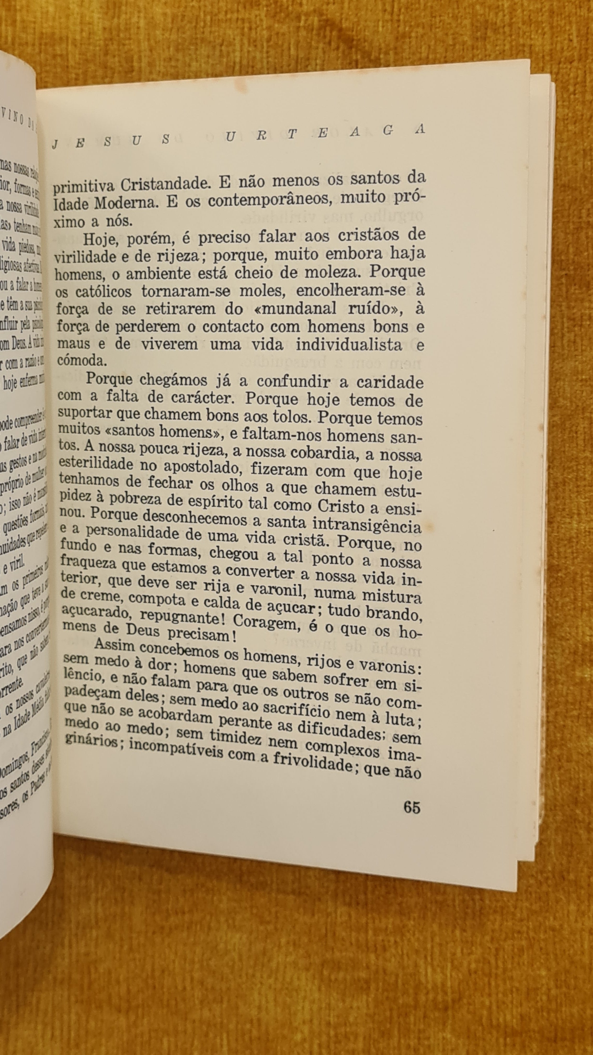 O valor divino do humano - Colecção Éfeso 2