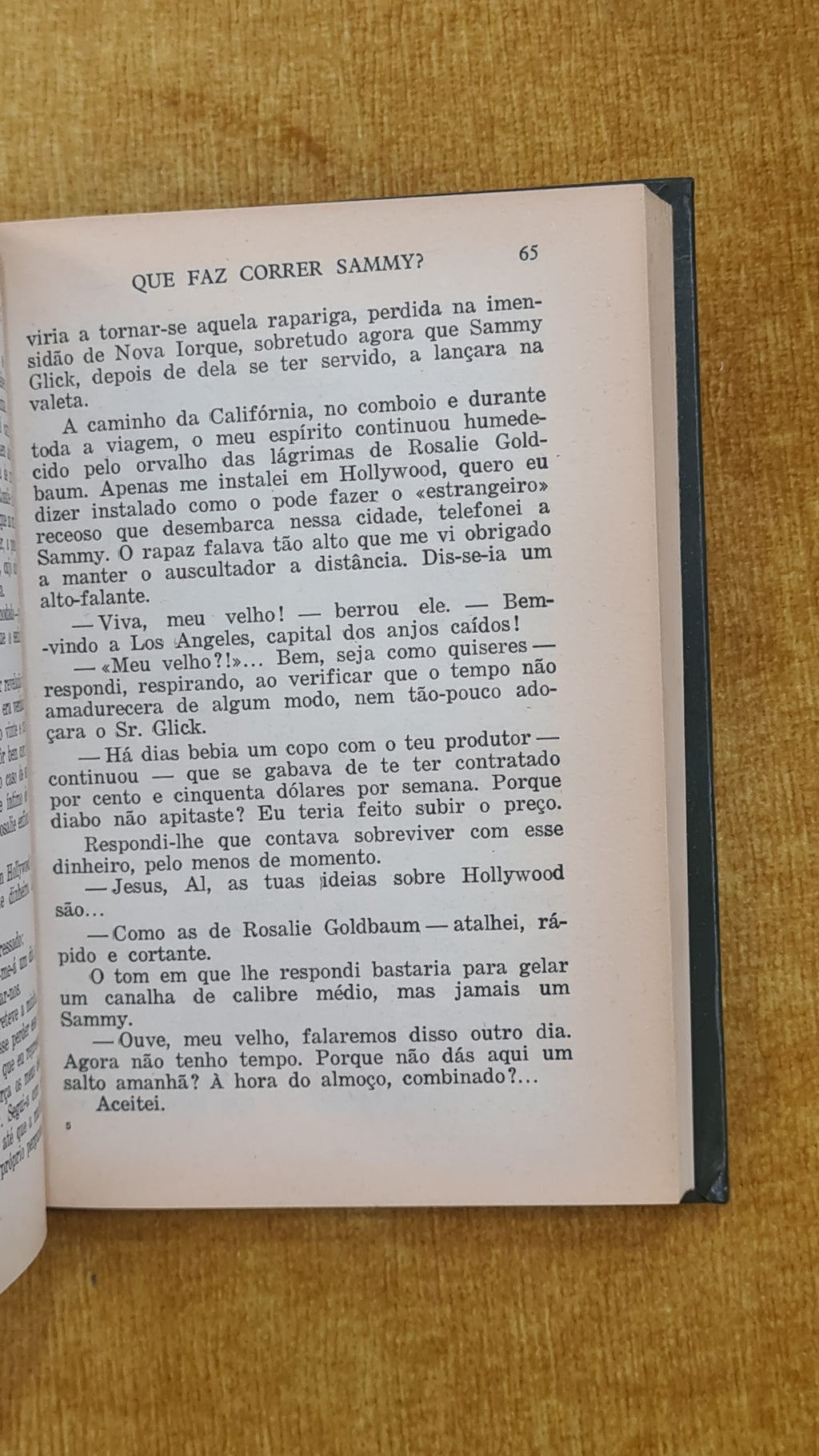 What makes Sammy run? - Literary series