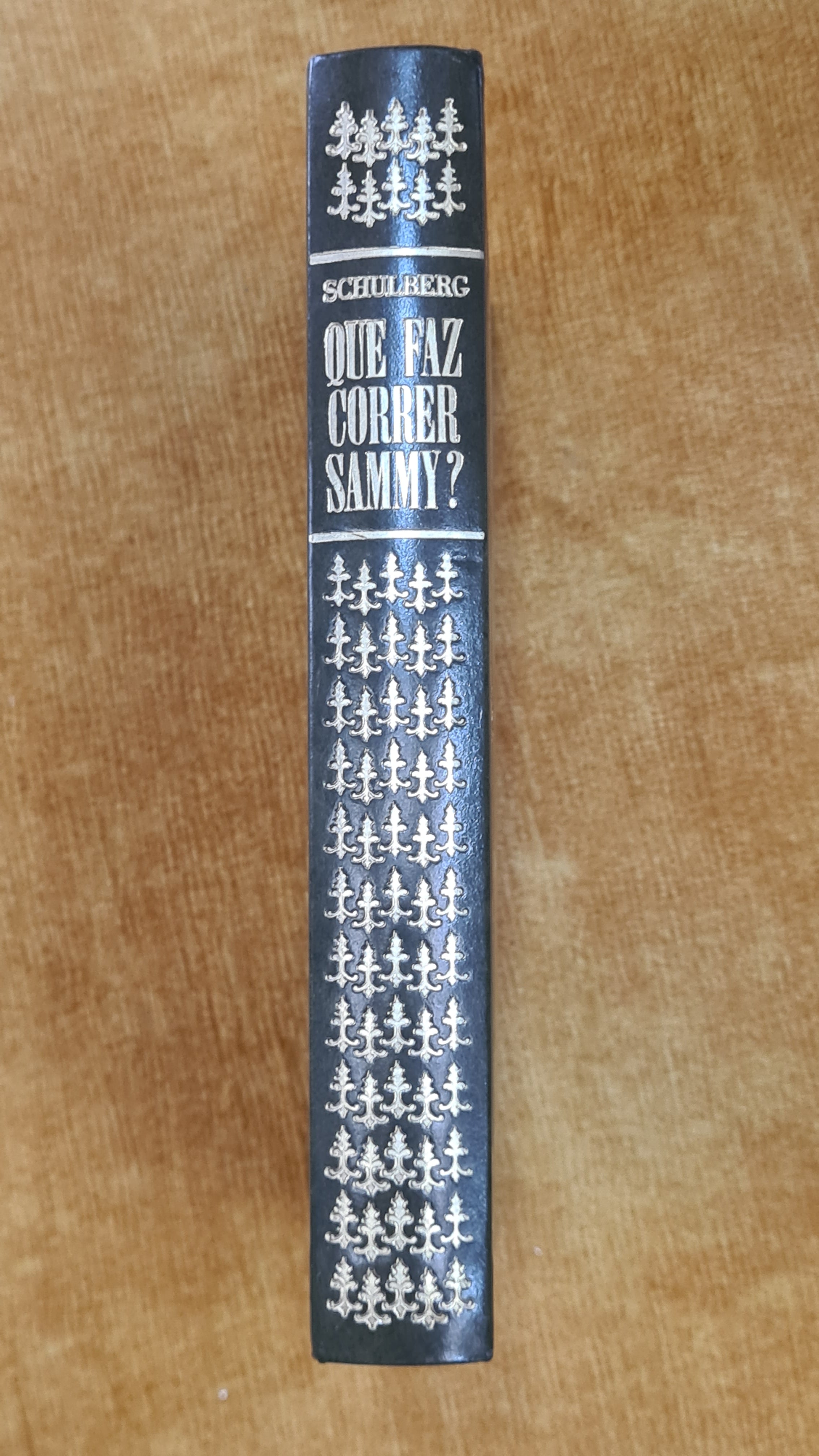 What makes Sammy run? - Literary series